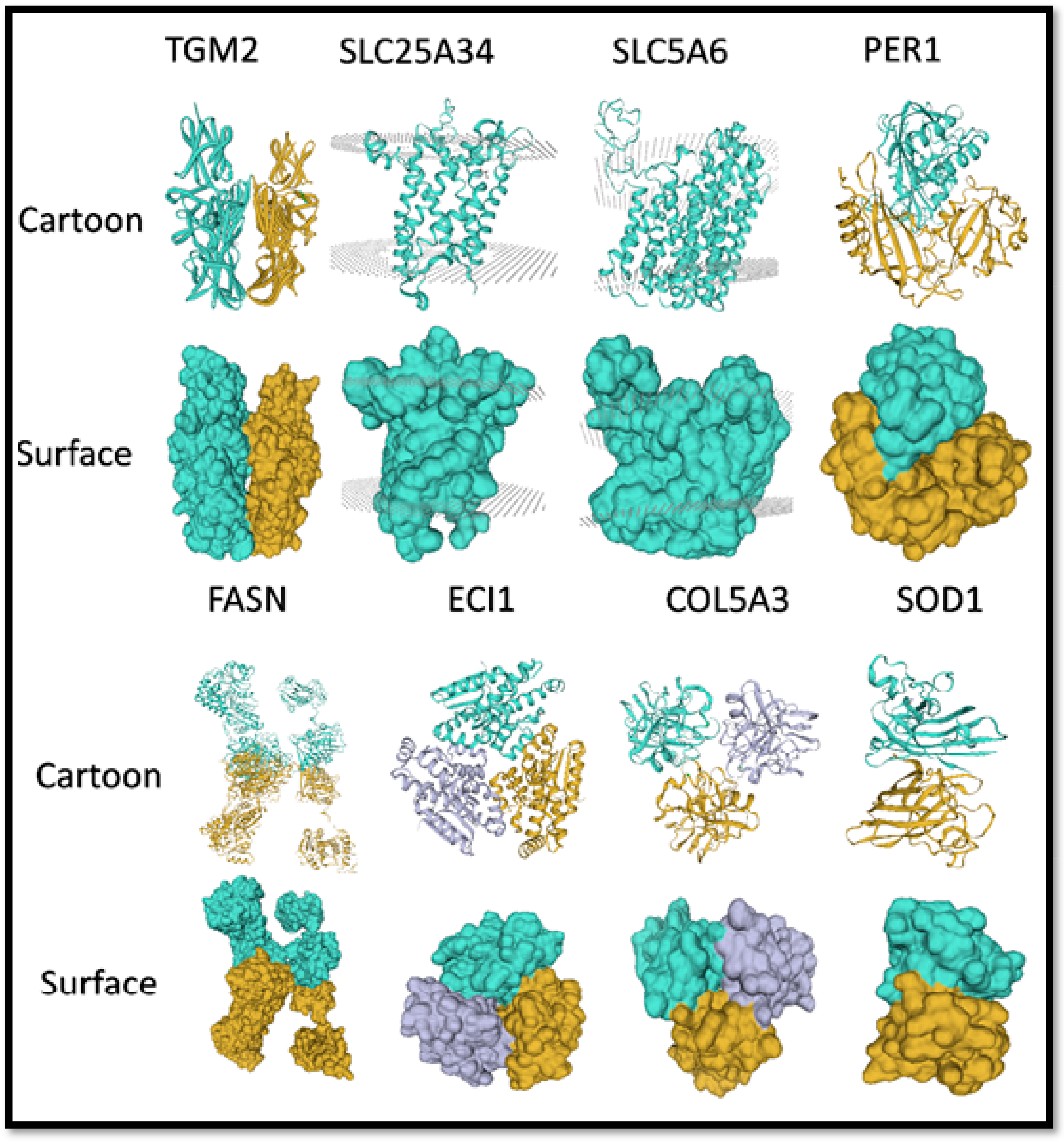 Cells 11 02638 g010 Cells 11 02638 g010