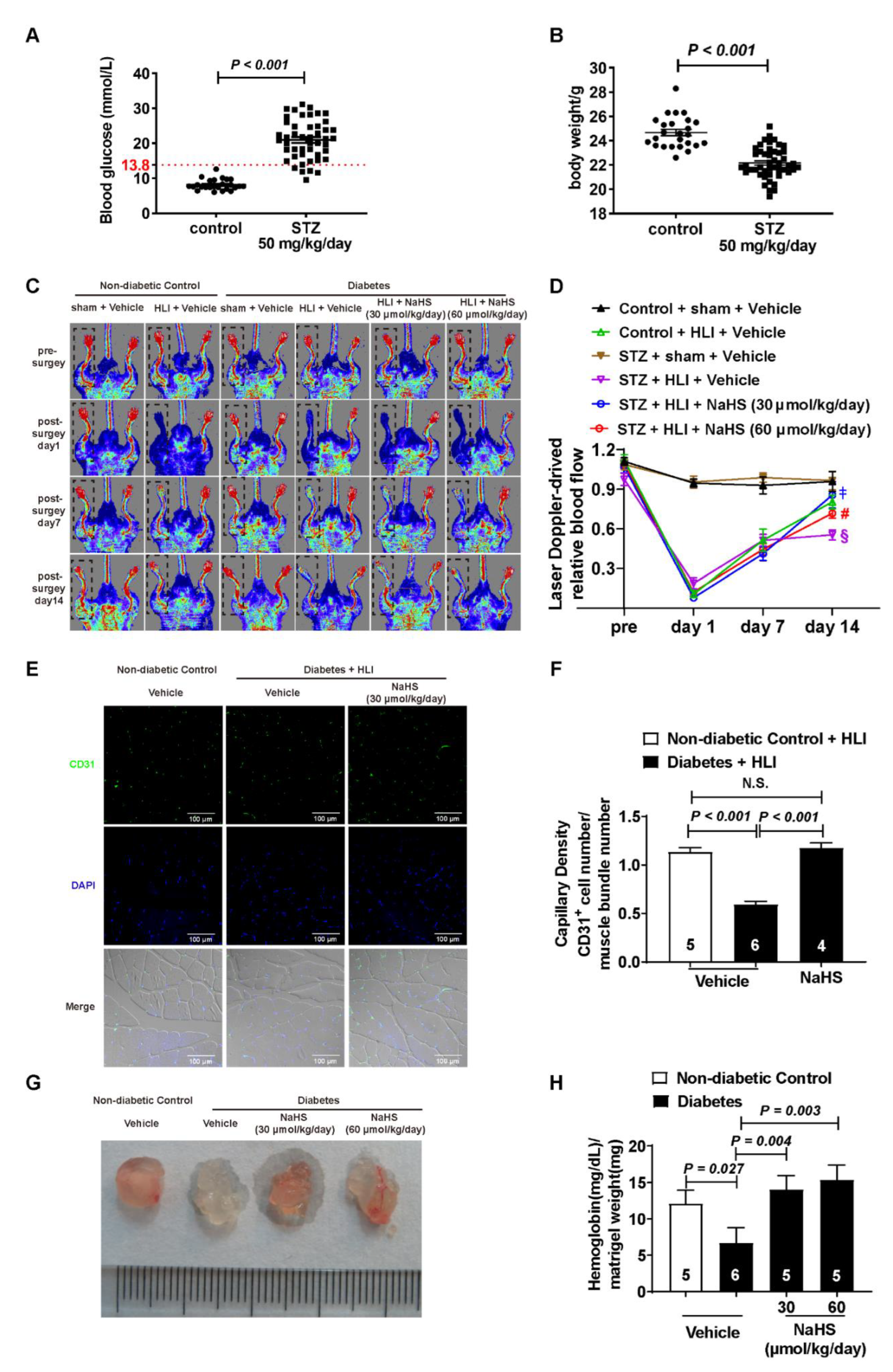 Cells 11 02651 g001 550