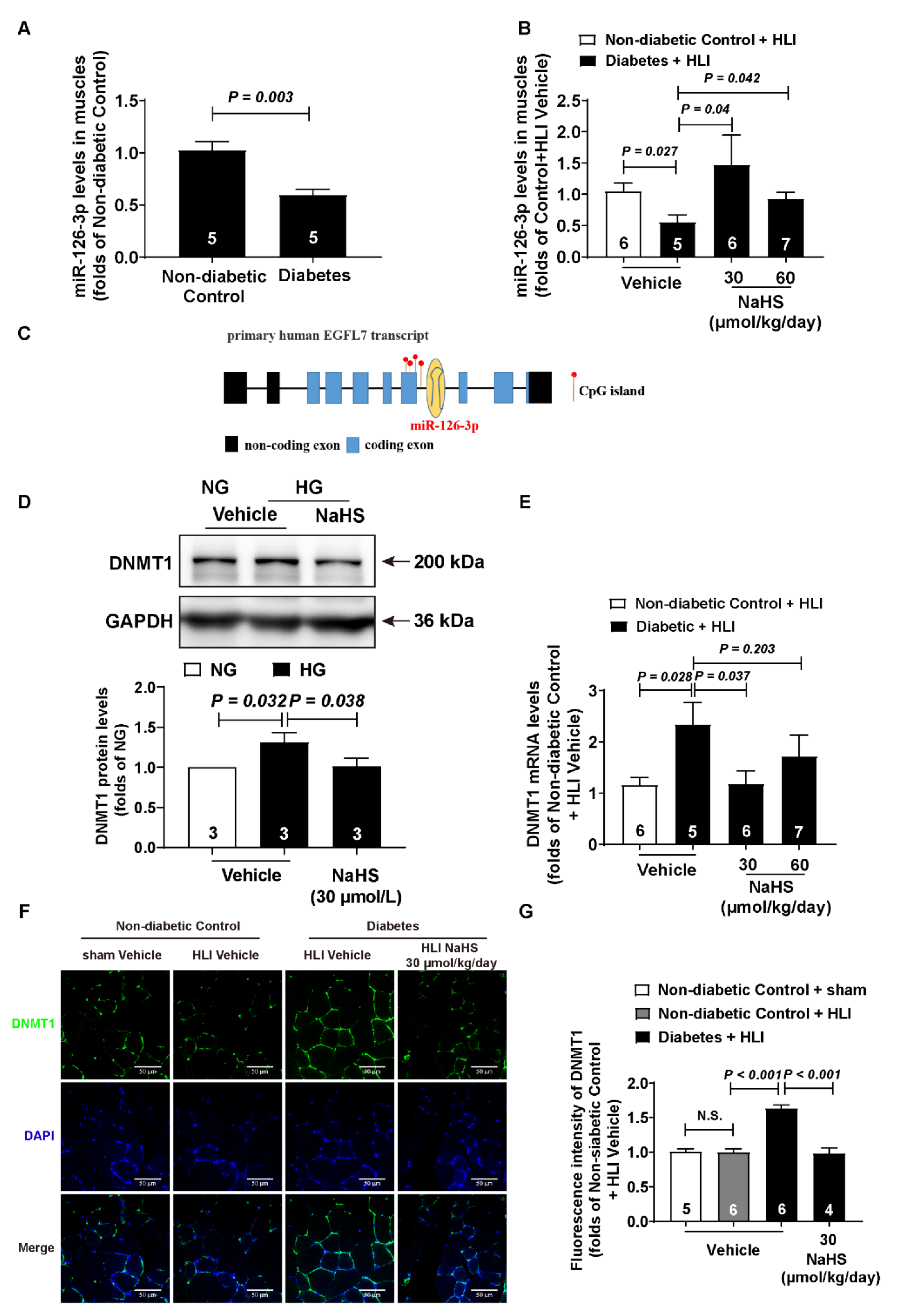 Cells 11 02651 g003 550