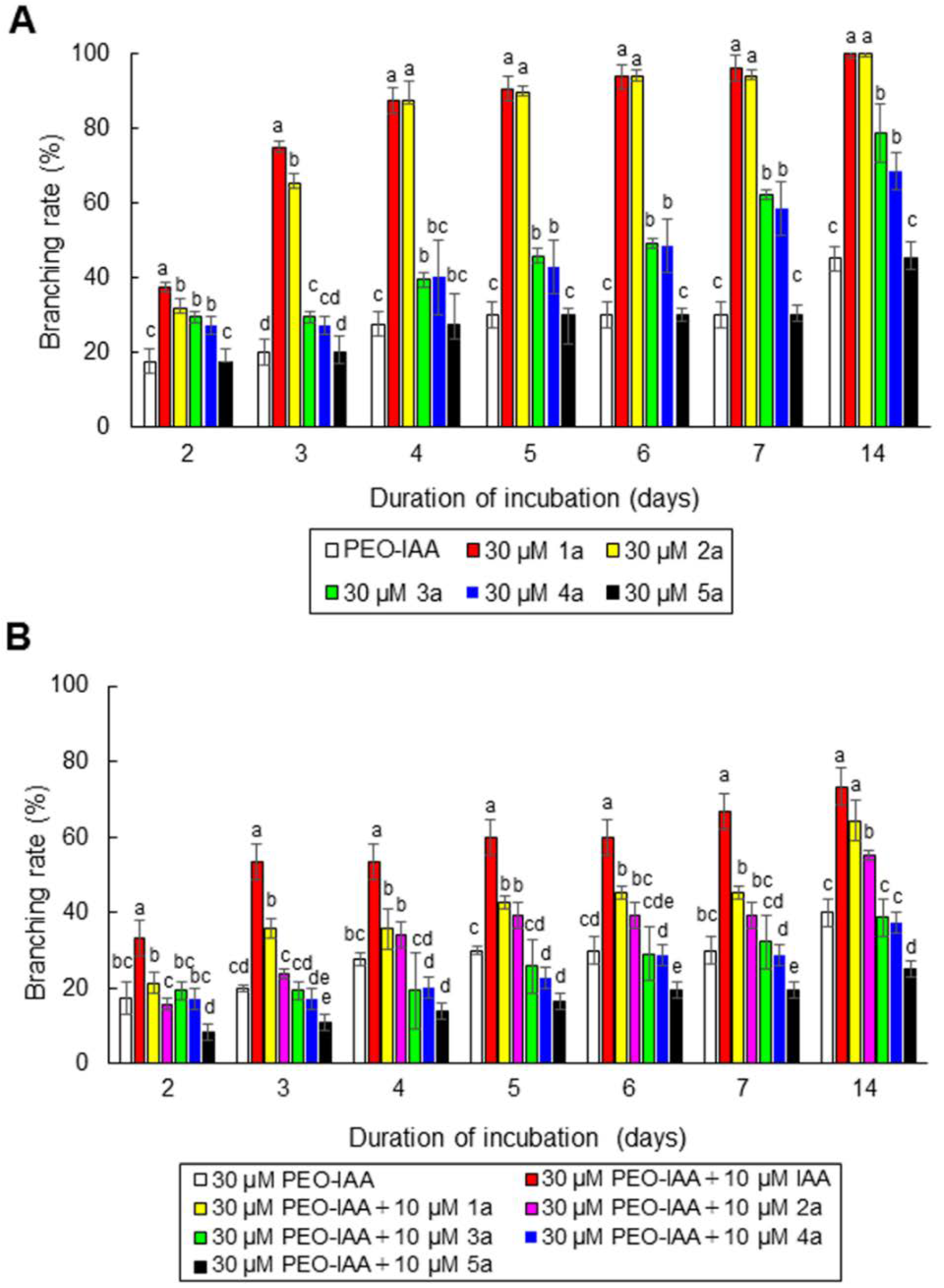 Cells 11 02652 g007 Cells 11 02652 g007