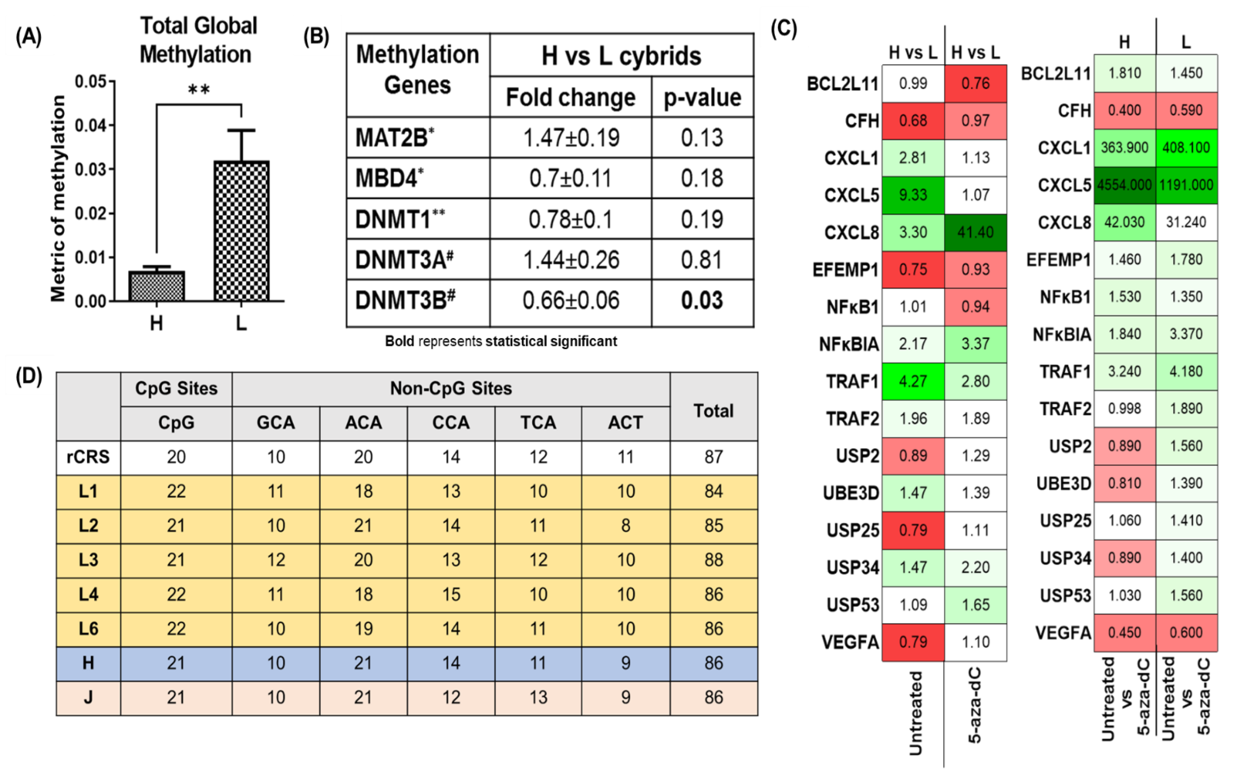 Cells 11 02655 g003 Cells 11 02655 g003