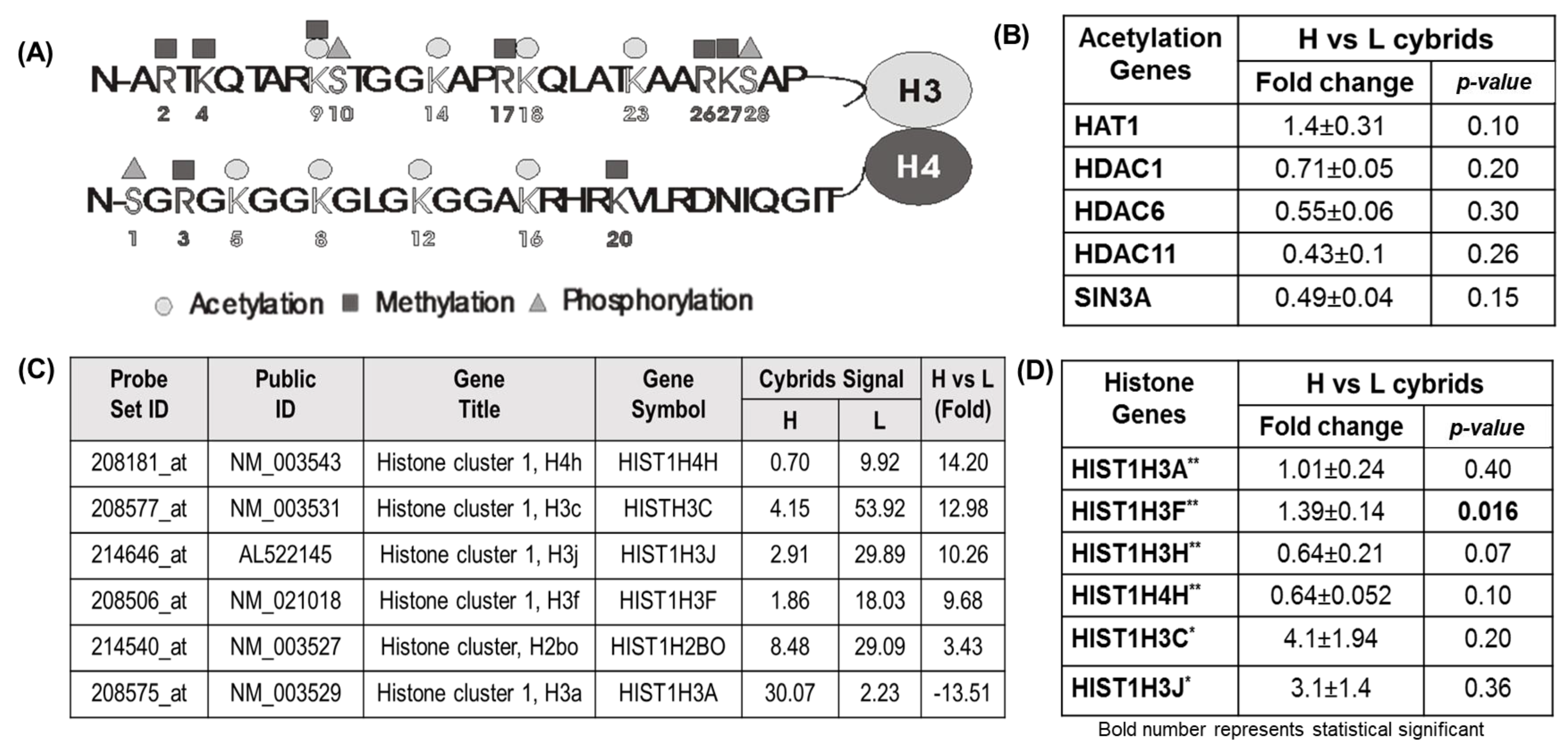 Cells 11 02655 g004 Cells 11 02655 g004