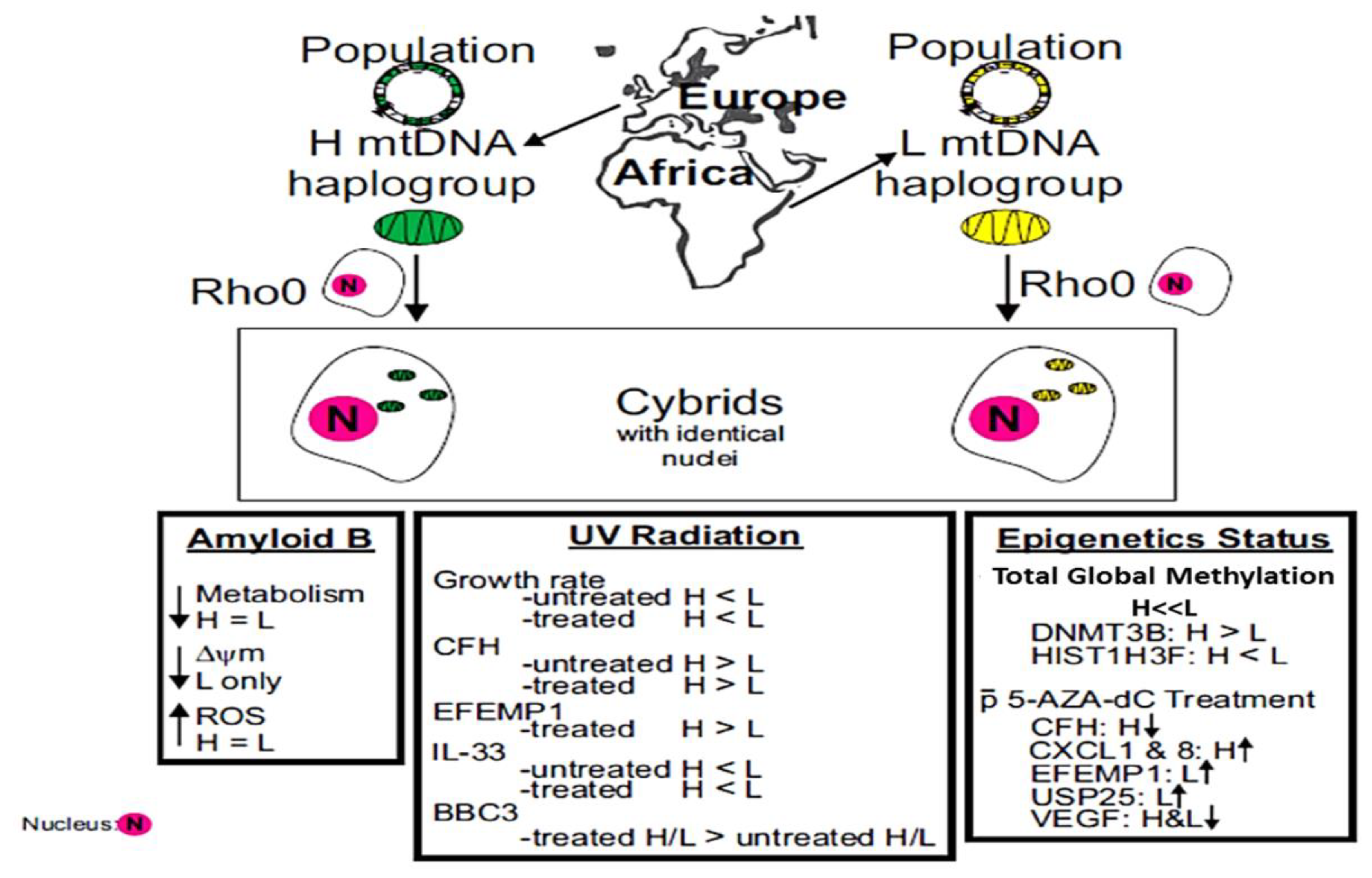 Cells 11 02655 g005 Cells 11 02655 g005