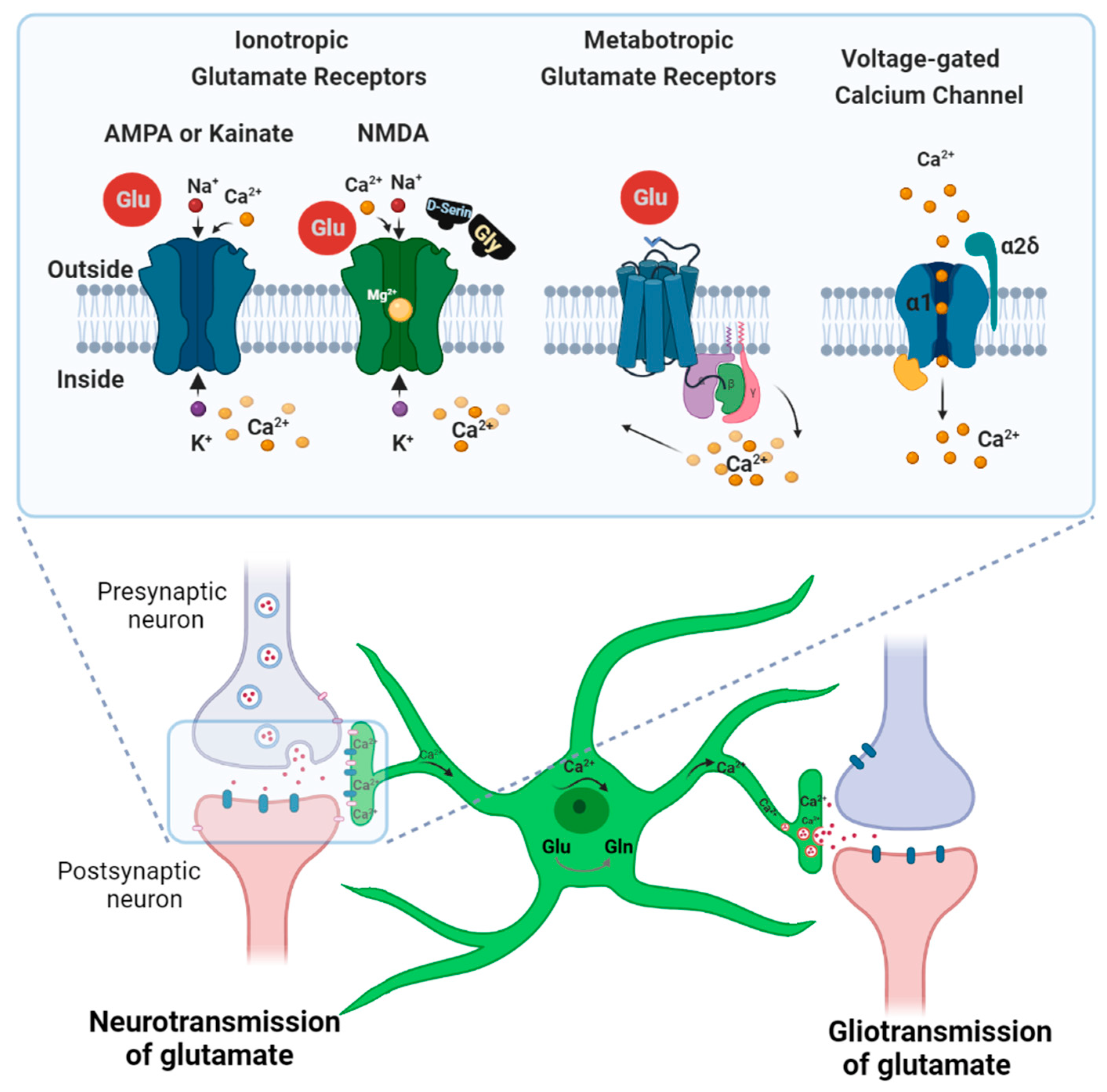 Cells 11 02657 g003 Cells 11 02657 g003