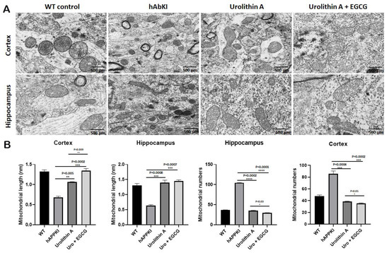 テスト A combination of PD-L1-targeted IL-15 mRNA nanotherapy and