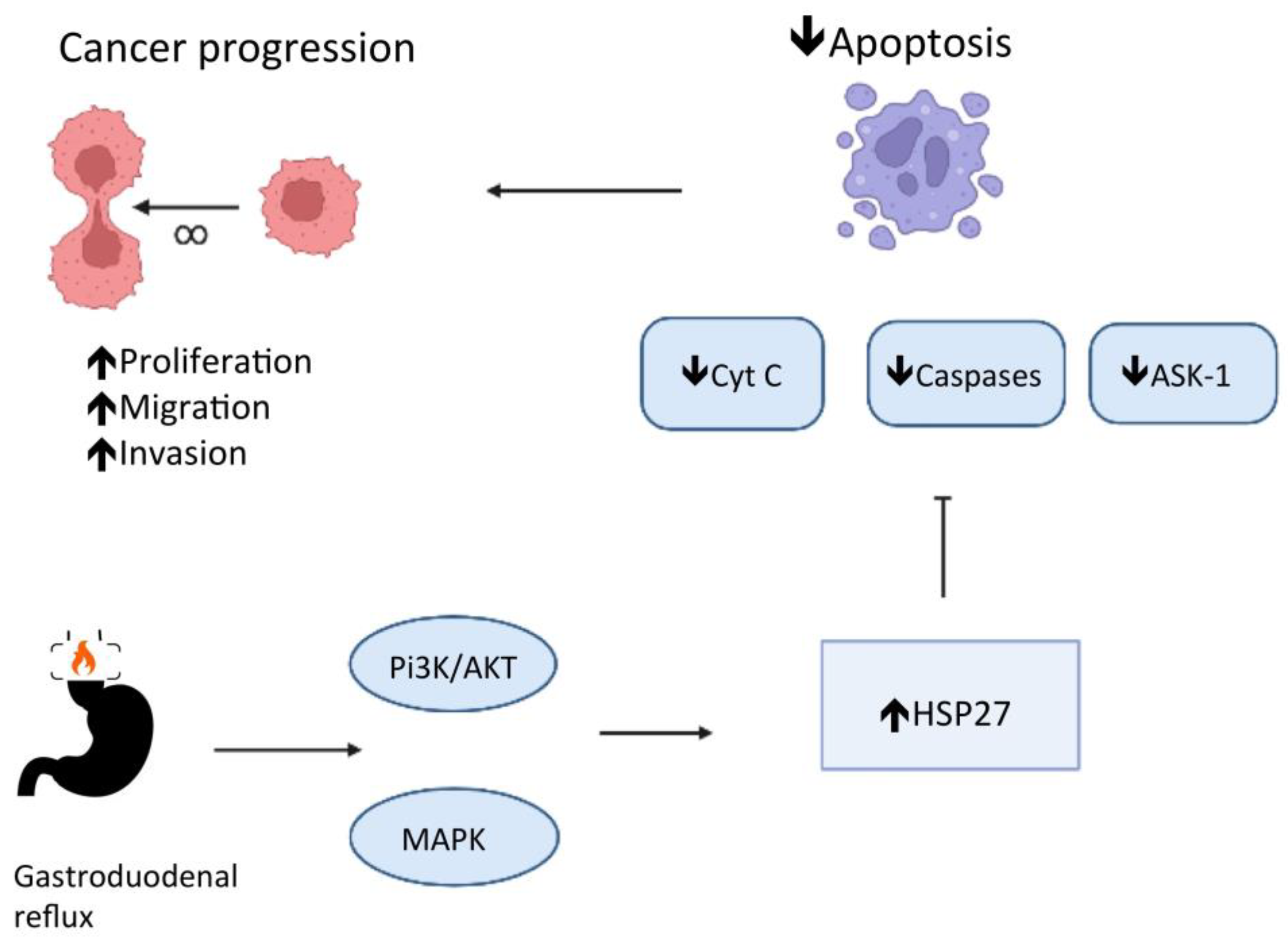 Cells 11 02664 g001 Cells 11 02664 g001