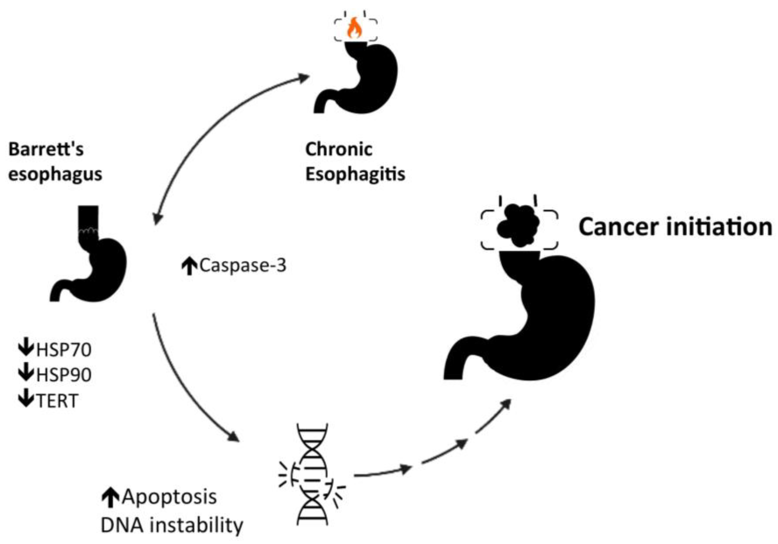 Cells 11 02664 g002 Cells 11 02664 g002