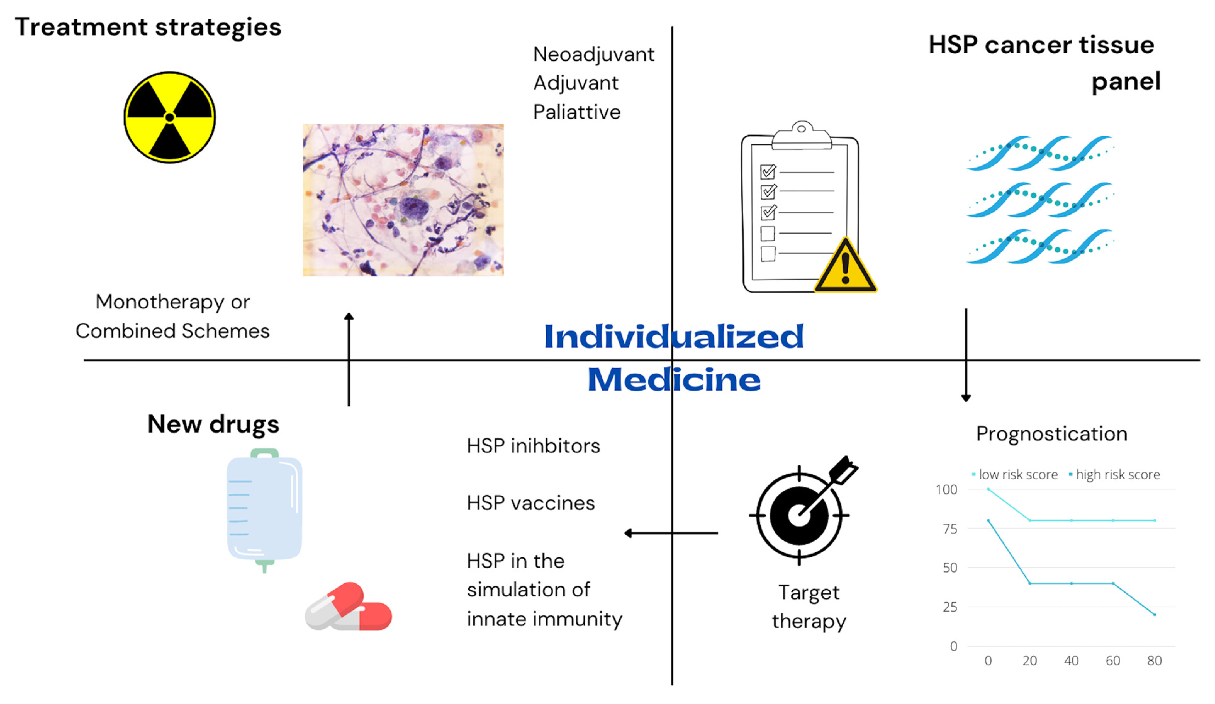 Cells 11 02664 g003 Cells 11 02664 g003