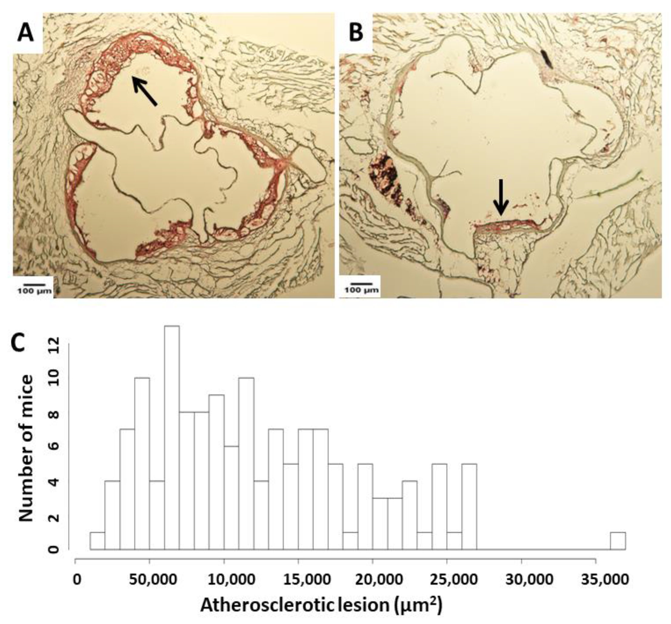 Cells 11 02669 g001 Cells 11 02669 g001