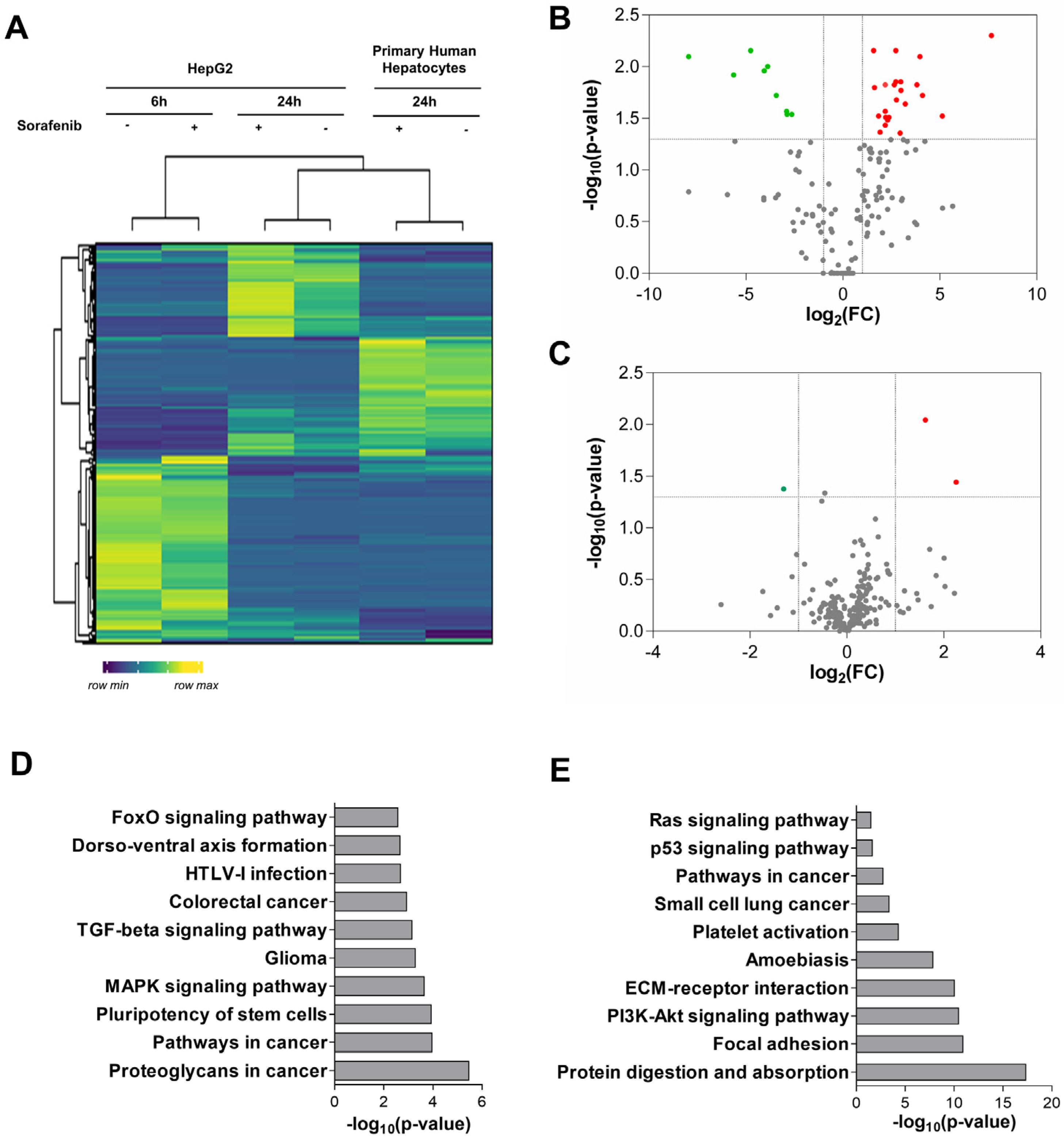 Cells 11 02673 g001 550
