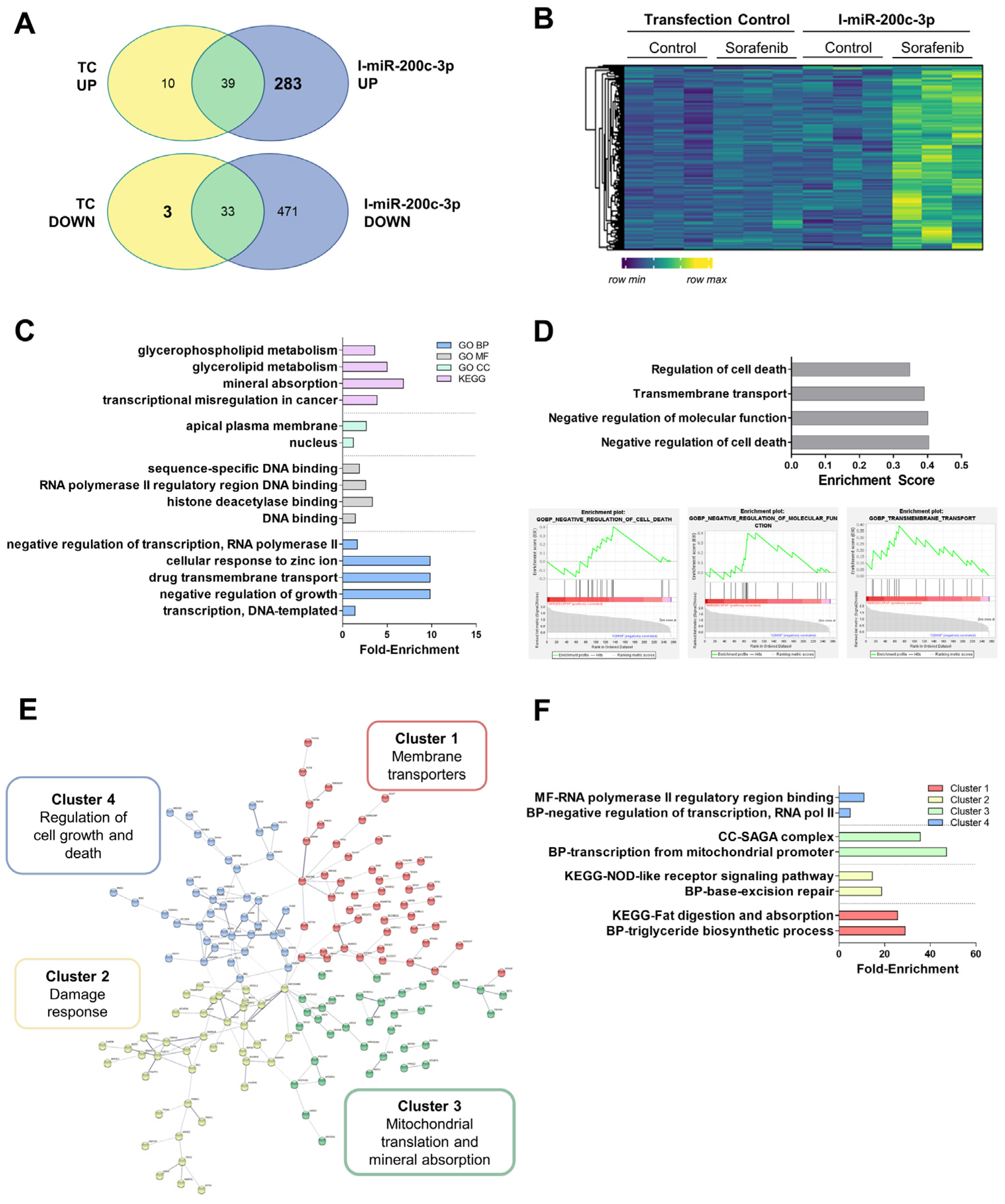 Cells 11 02673 g006 550