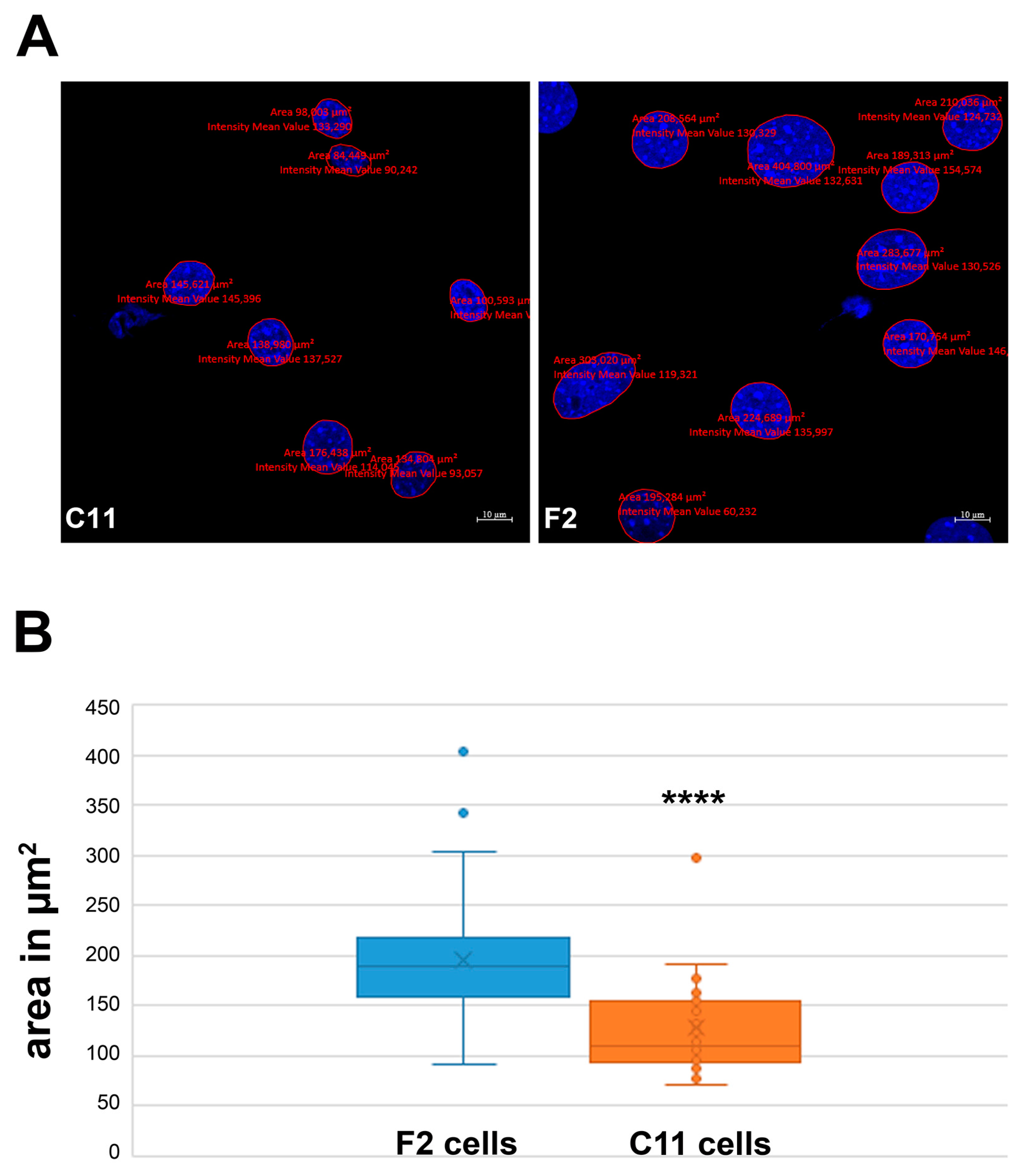 Cells 11 02677 g005 550