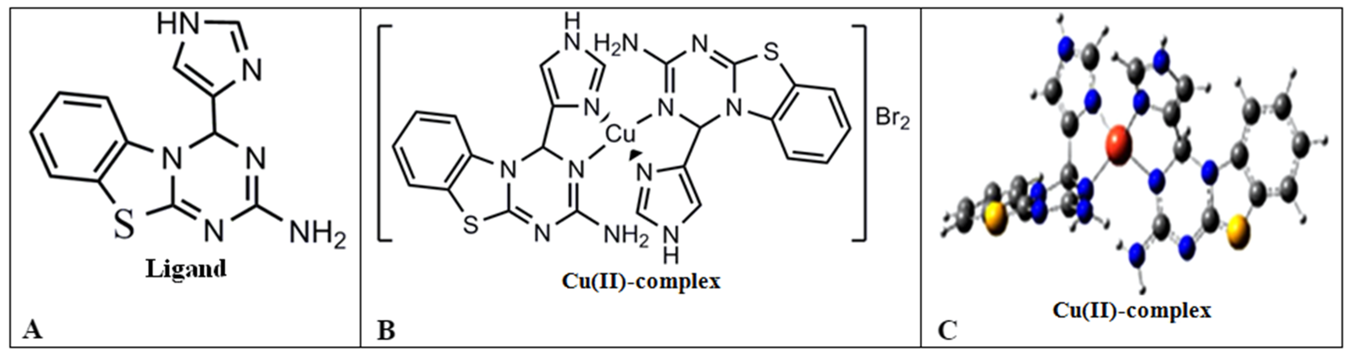Cells 11 02680 g001 Cells 11 02680 g001