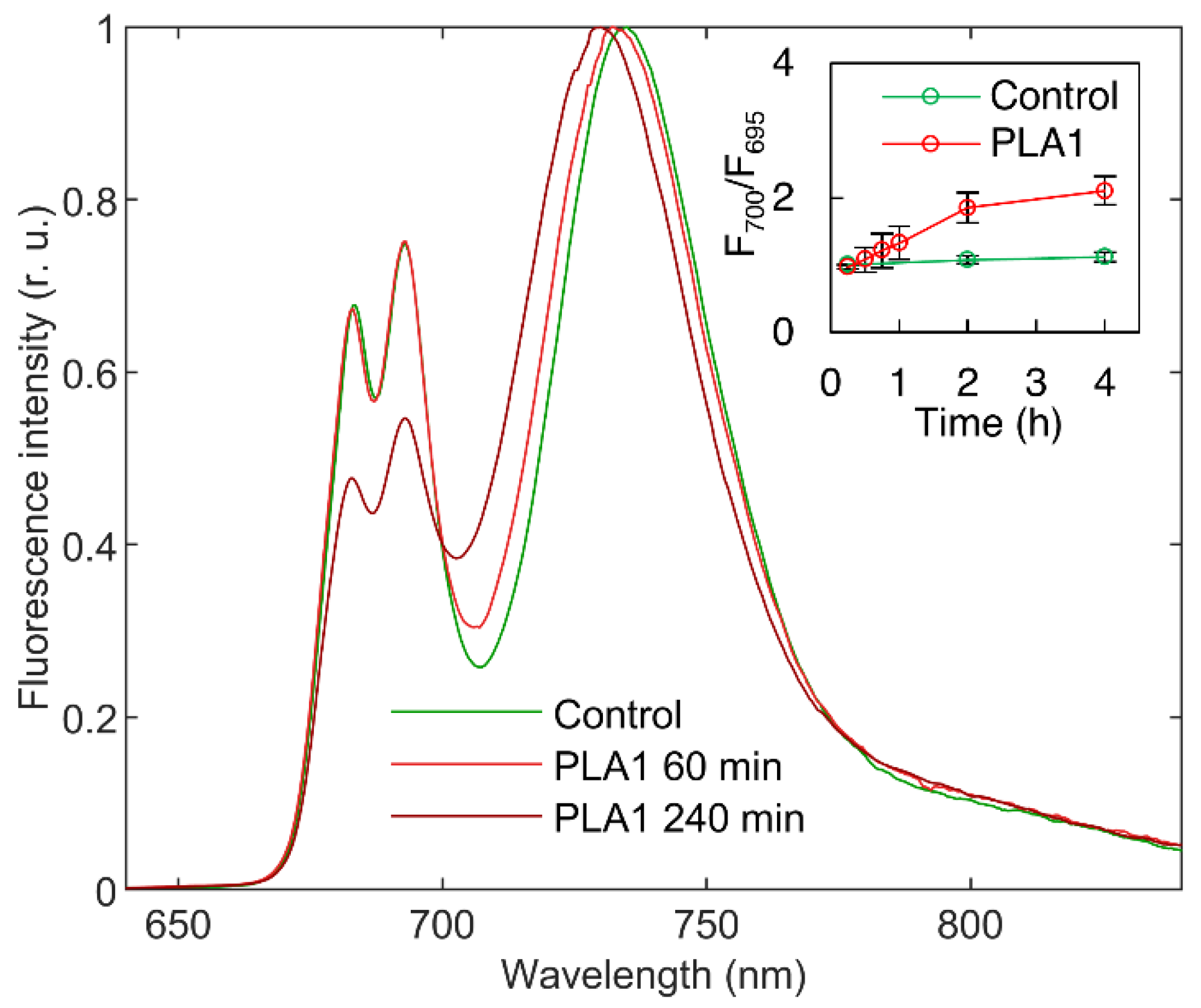 Cells 11 02681 g003 Cells 11 02681 g003