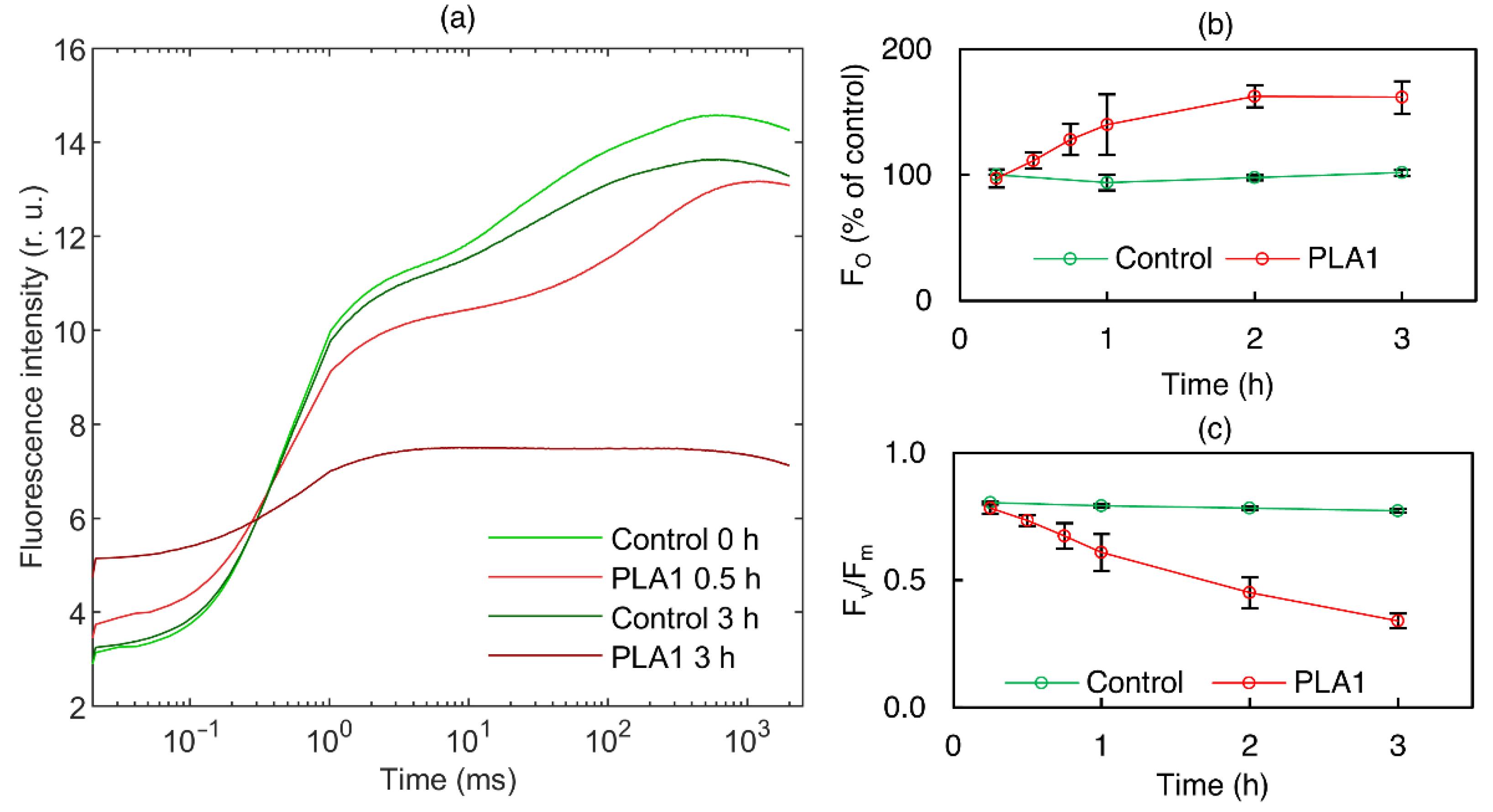 Cells 11 02681 g004 Cells 11 02681 g004