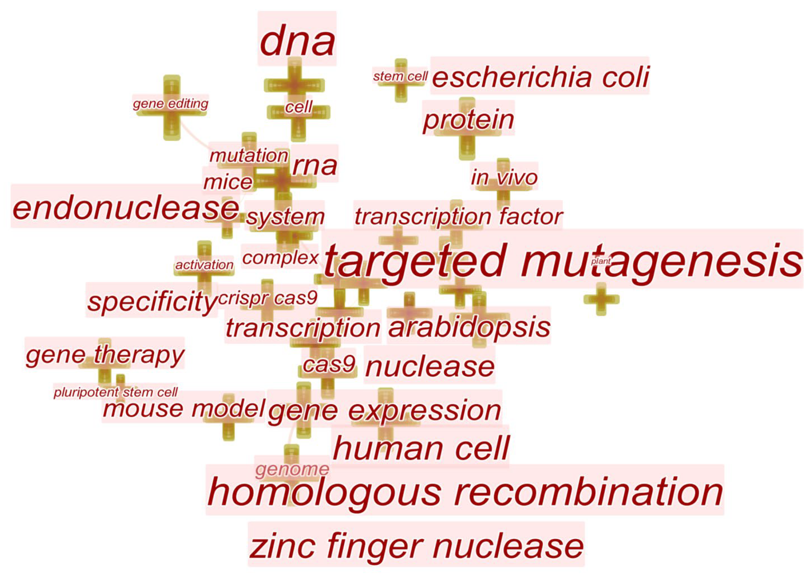 Cells 11 02682 g009 550