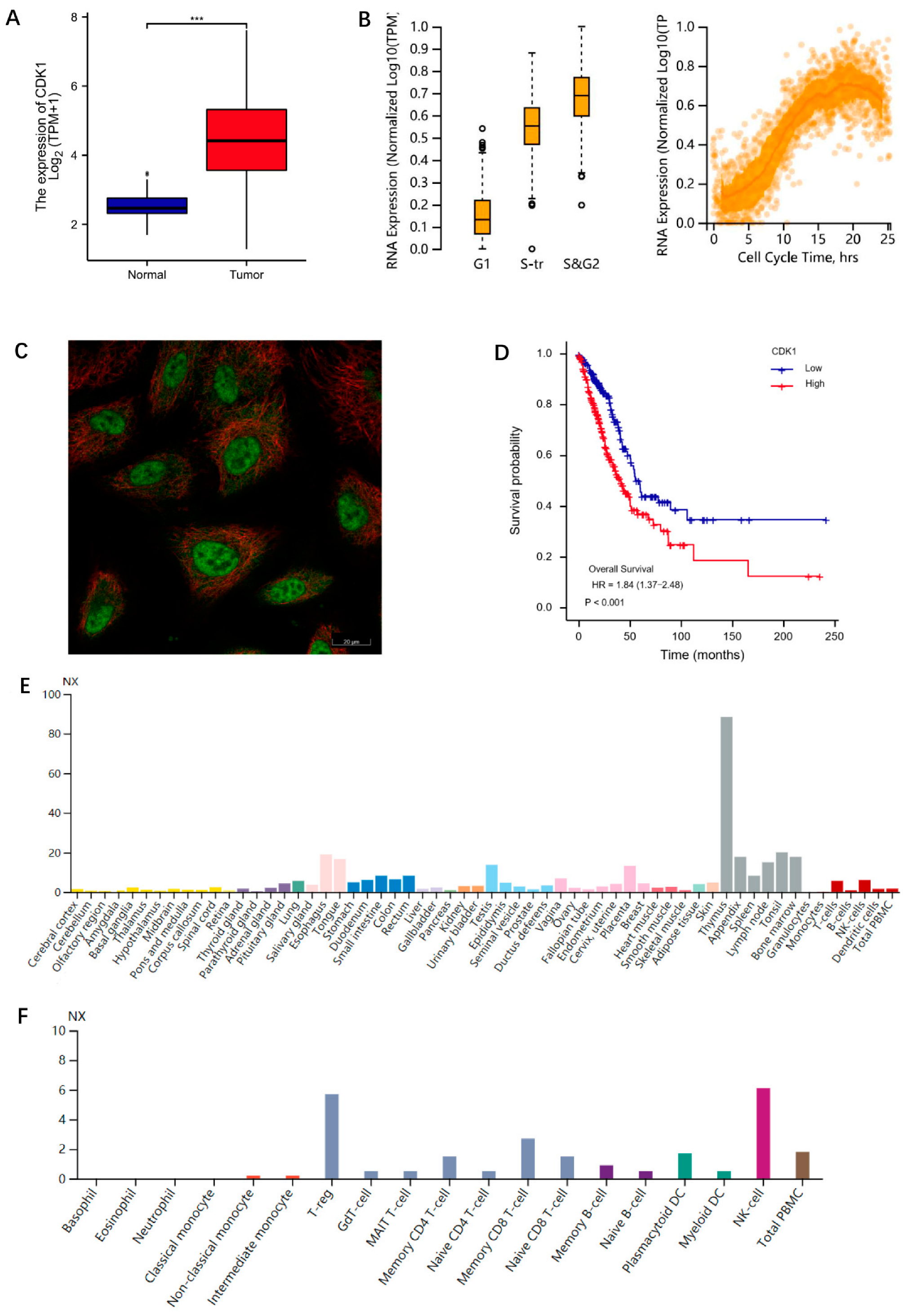 Cells 11 02688 g001 550