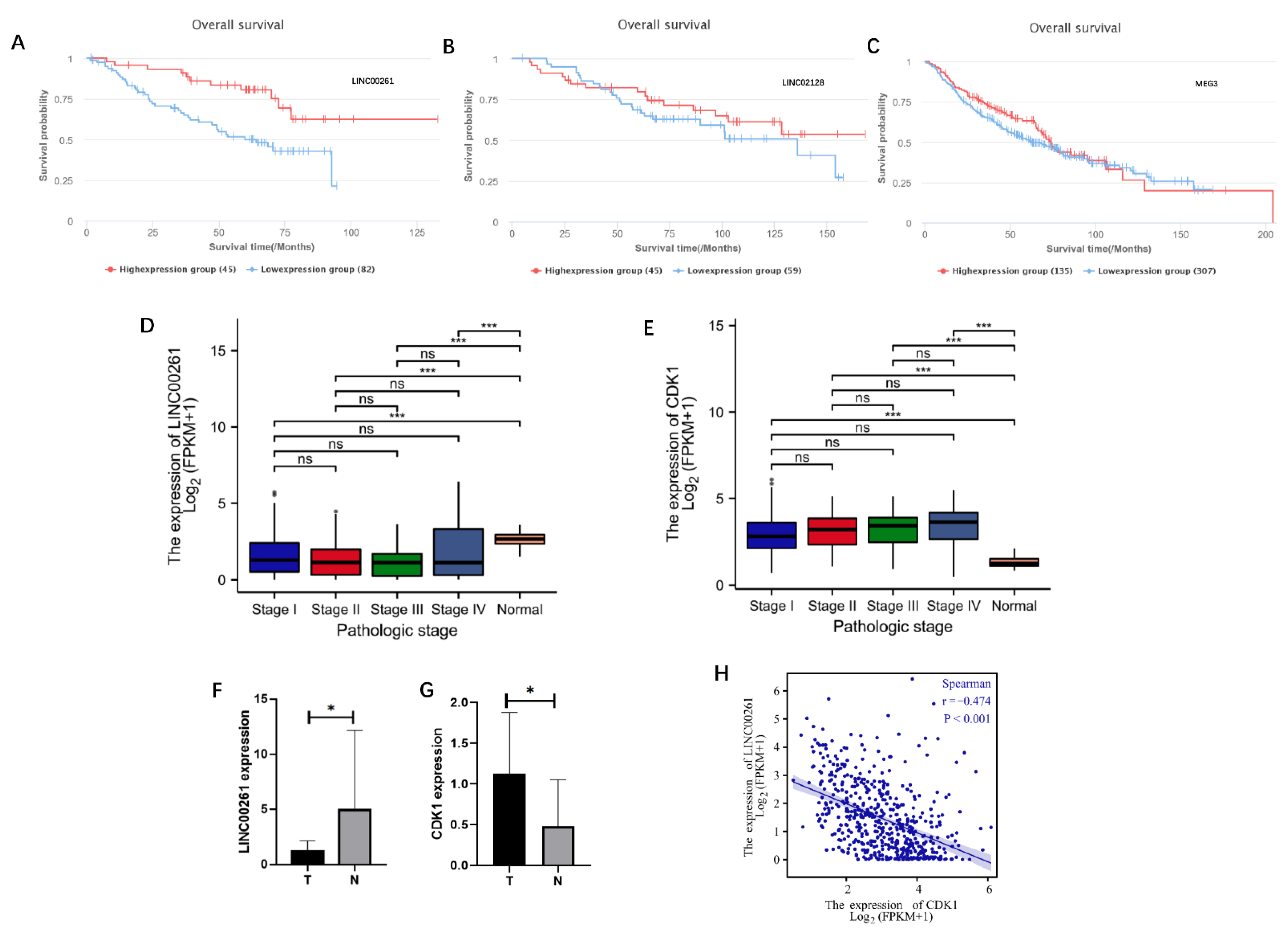 Cells 11 02688 g003 550