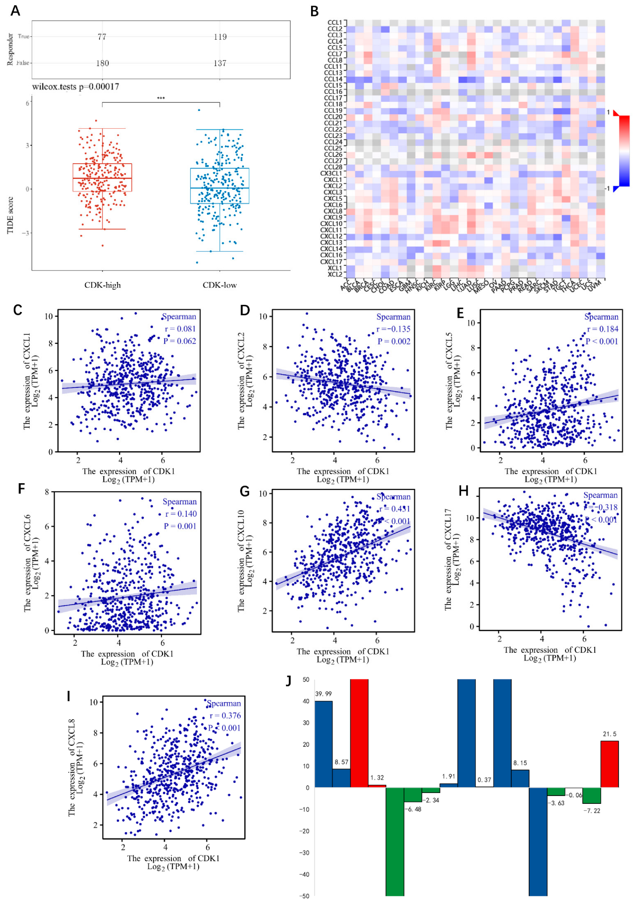 Cells 11 02688 g004 550