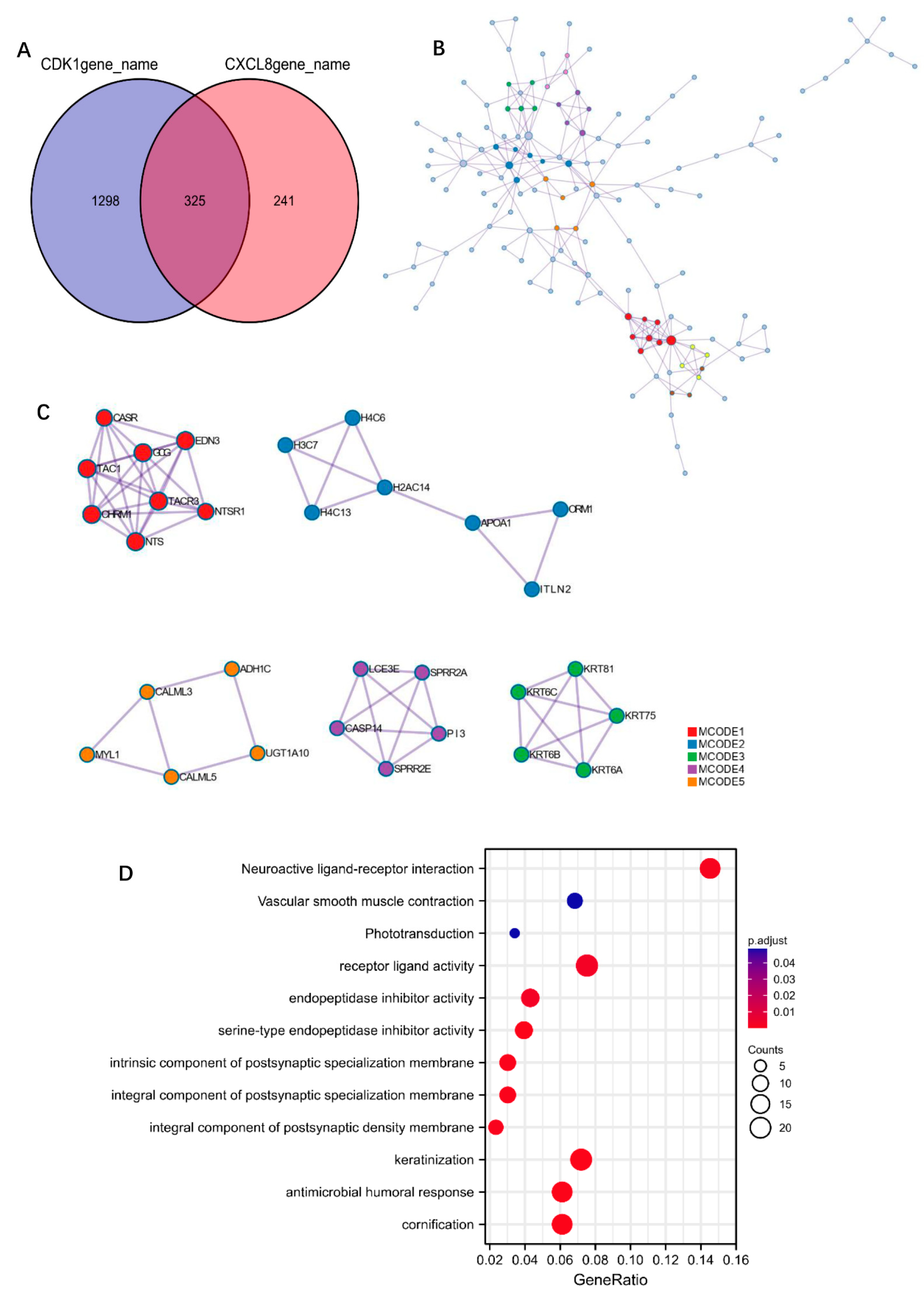 Cells 11 02688 g008 550
