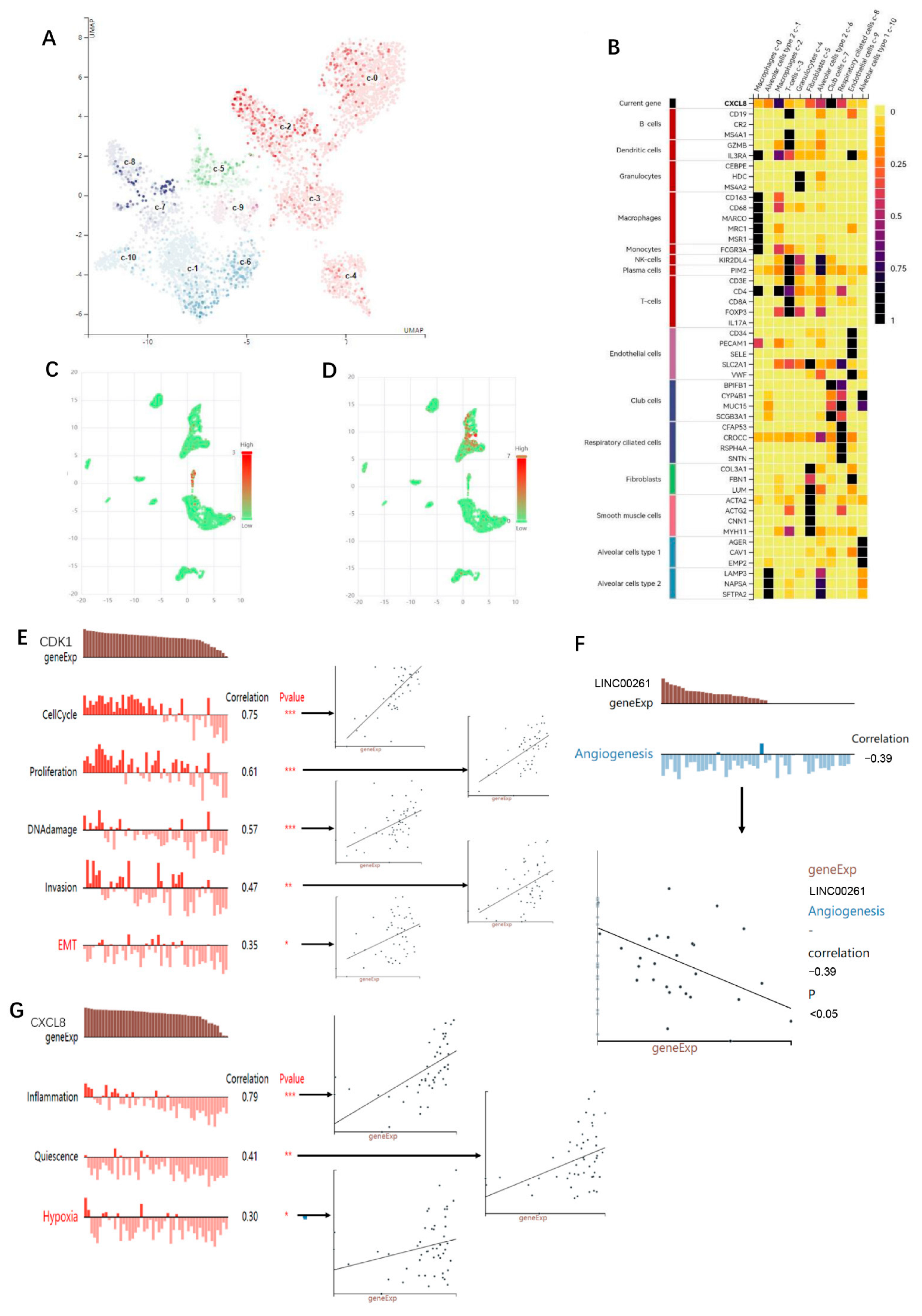 Cells 11 02688 g009 550