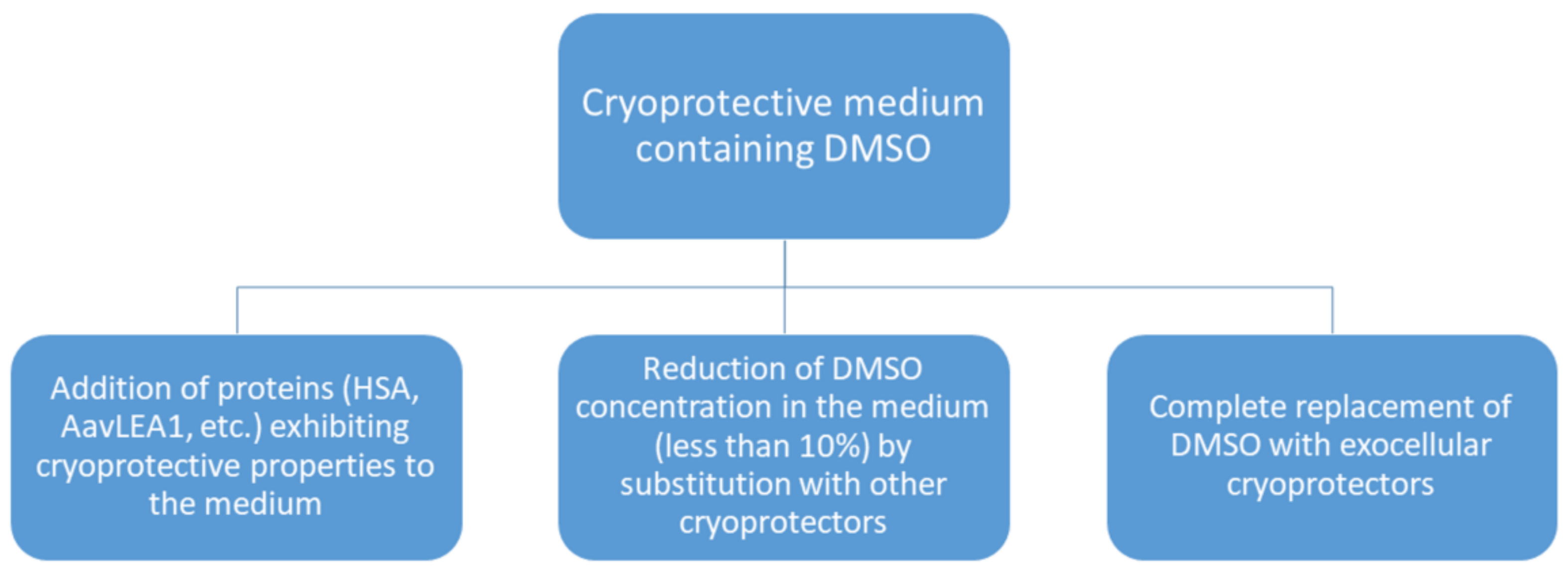 Cells 11 02691 g003 Cells 11 02691 g003