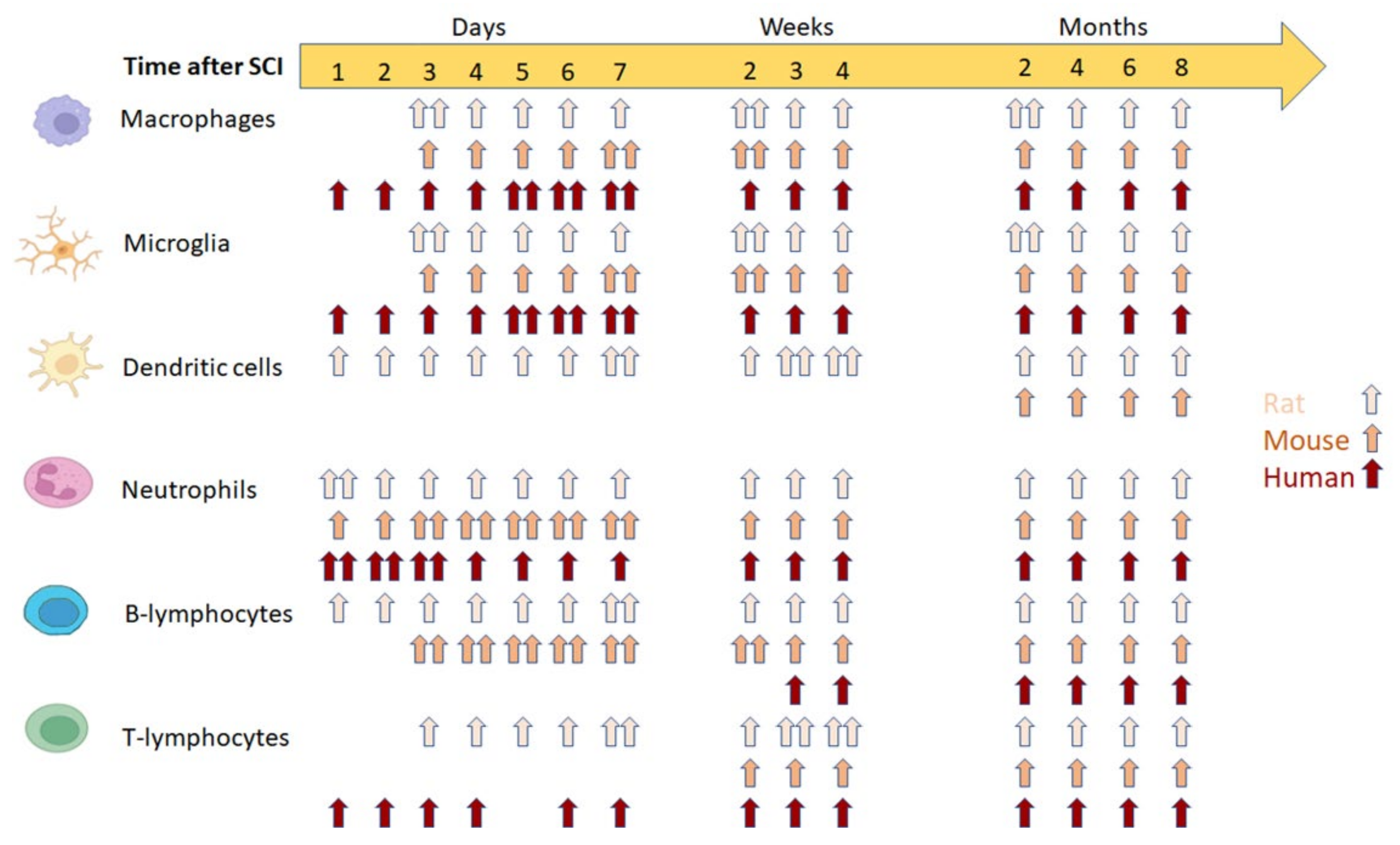 Cells 11 02692 g002 Cells 11 02692 g002