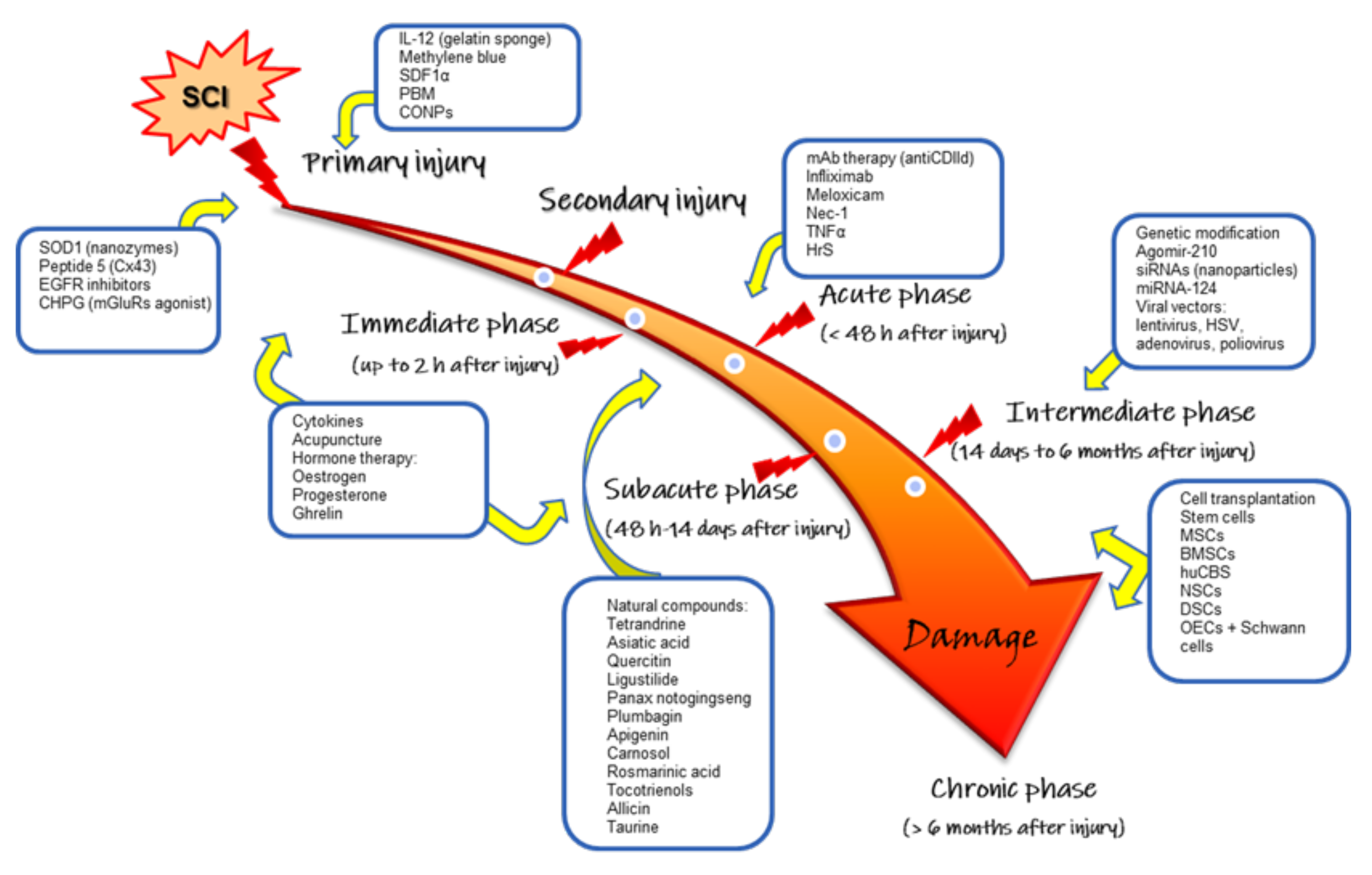 Cells 11 02692 g003 Cells 11 02692 g003