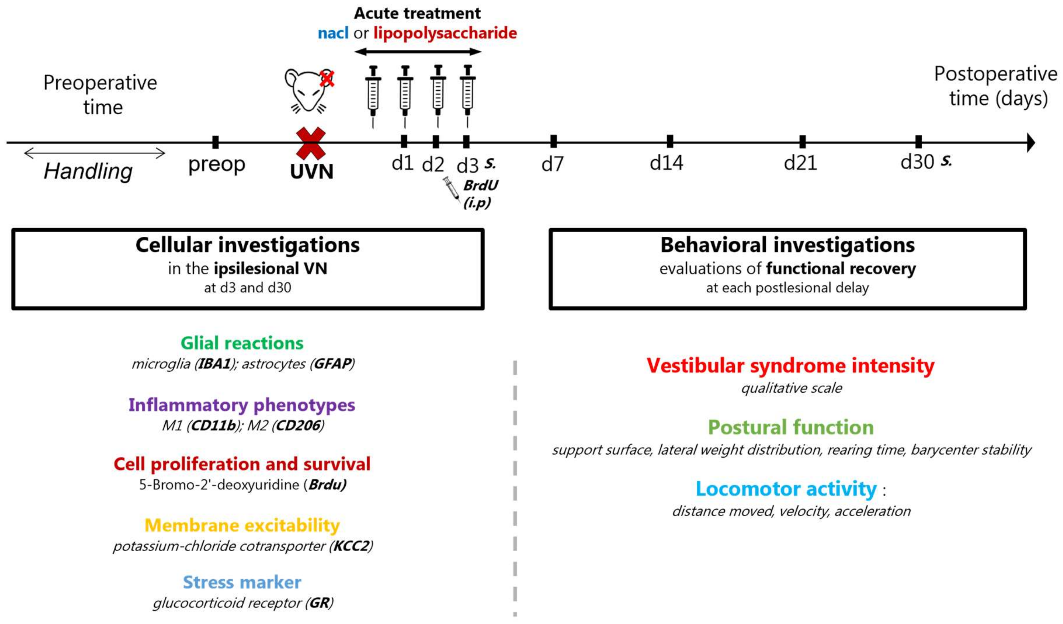 Cells 11 02693 g001 Cells 11 02693 g001