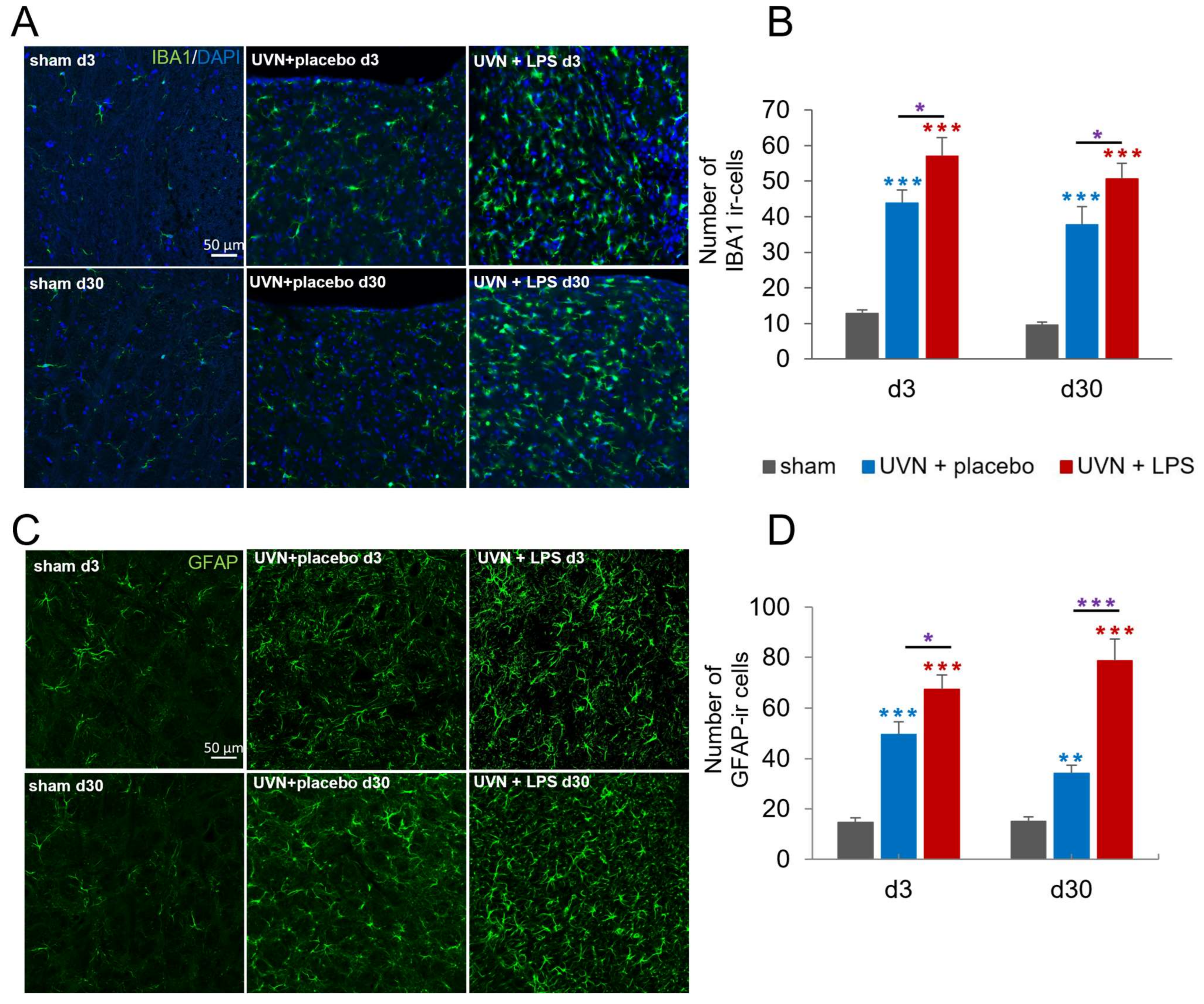 Cells 11 02693 g002 Cells 11 02693 g002