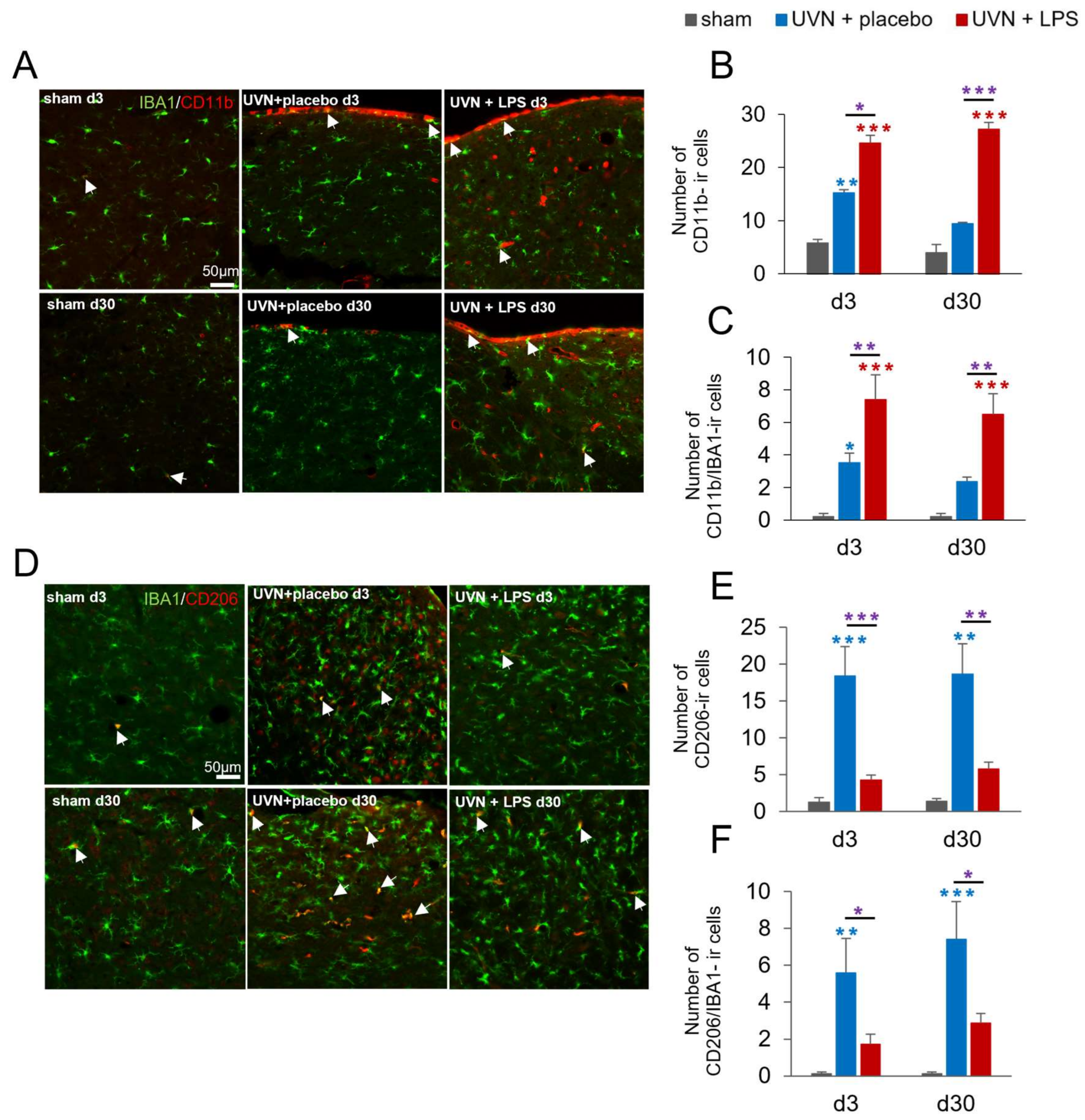 Cells 11 02693 g003 Cells 11 02693 g003