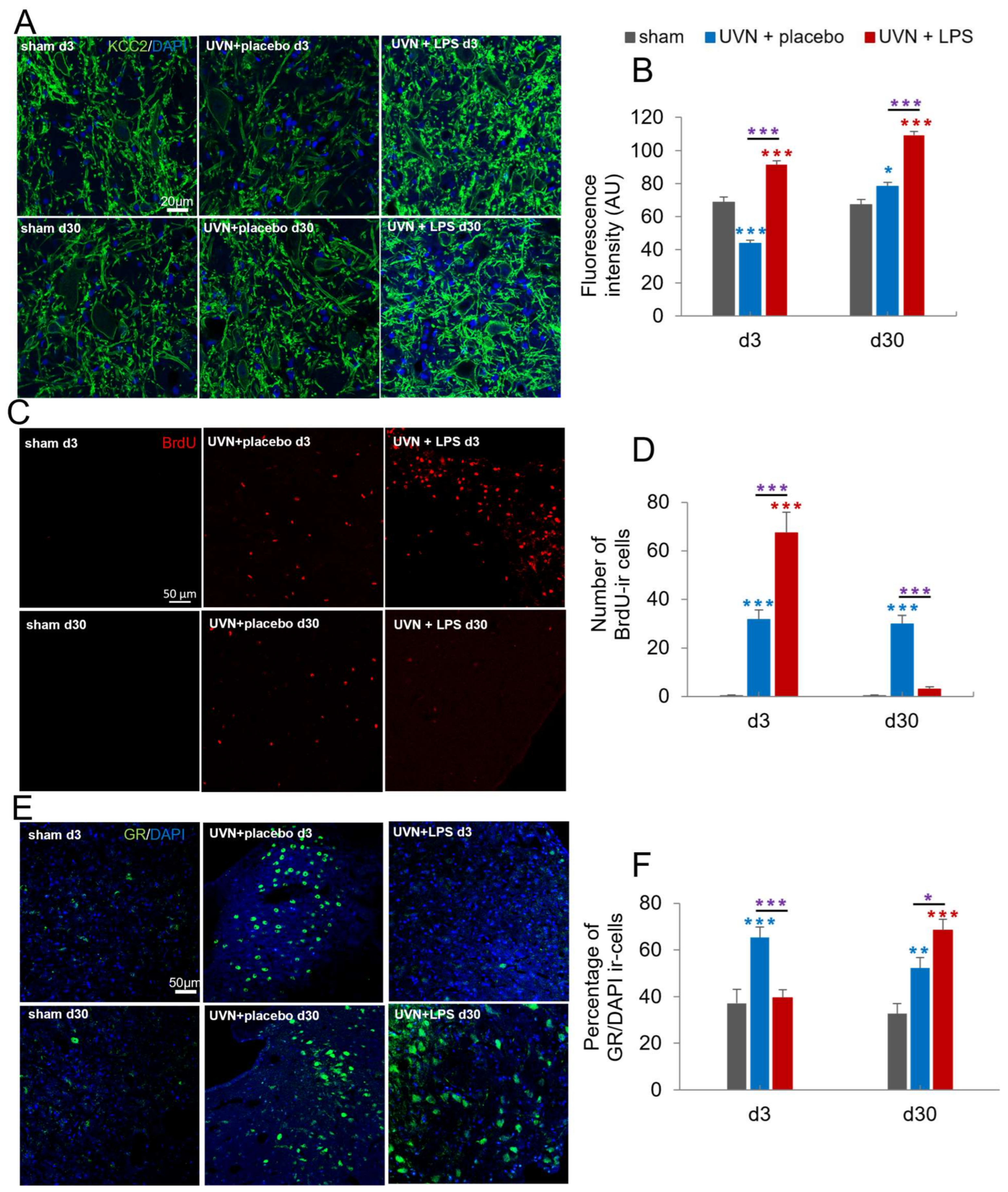 Cells 11 02693 g004 Cells 11 02693 g004