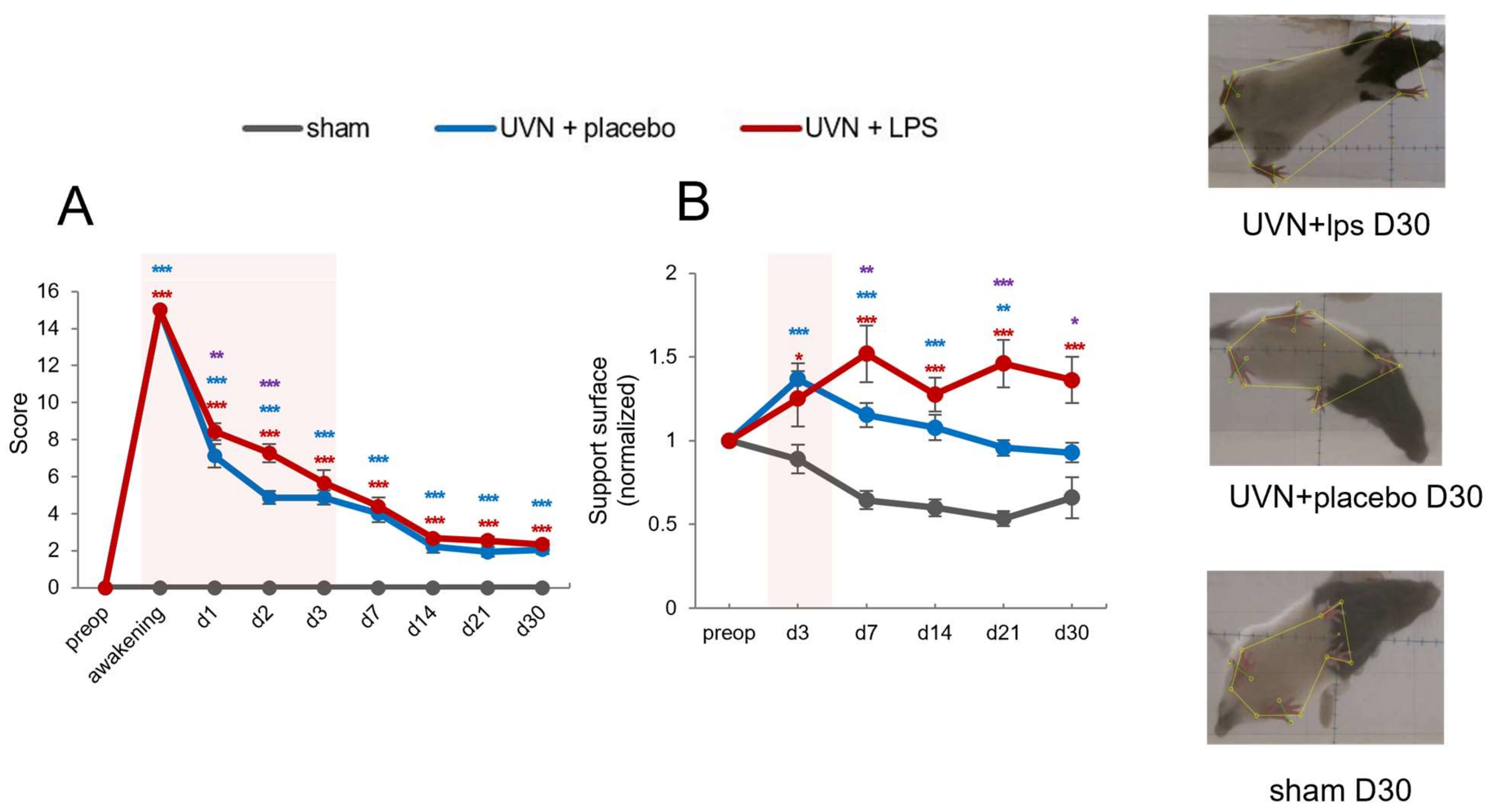Cells 11 02693 g005 Cells 11 02693 g005