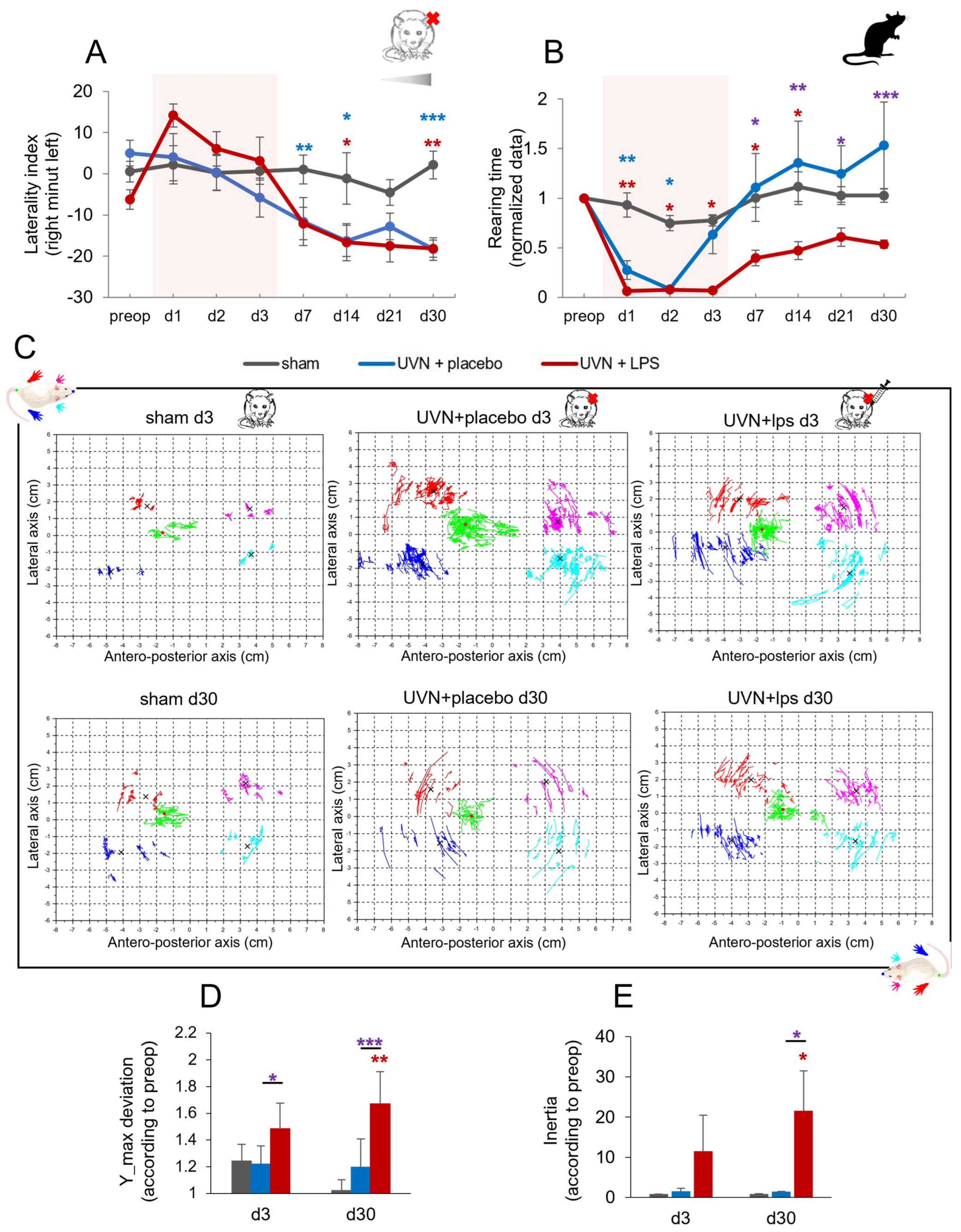 Cells 11 02693 g006 Cells 11 02693 g006