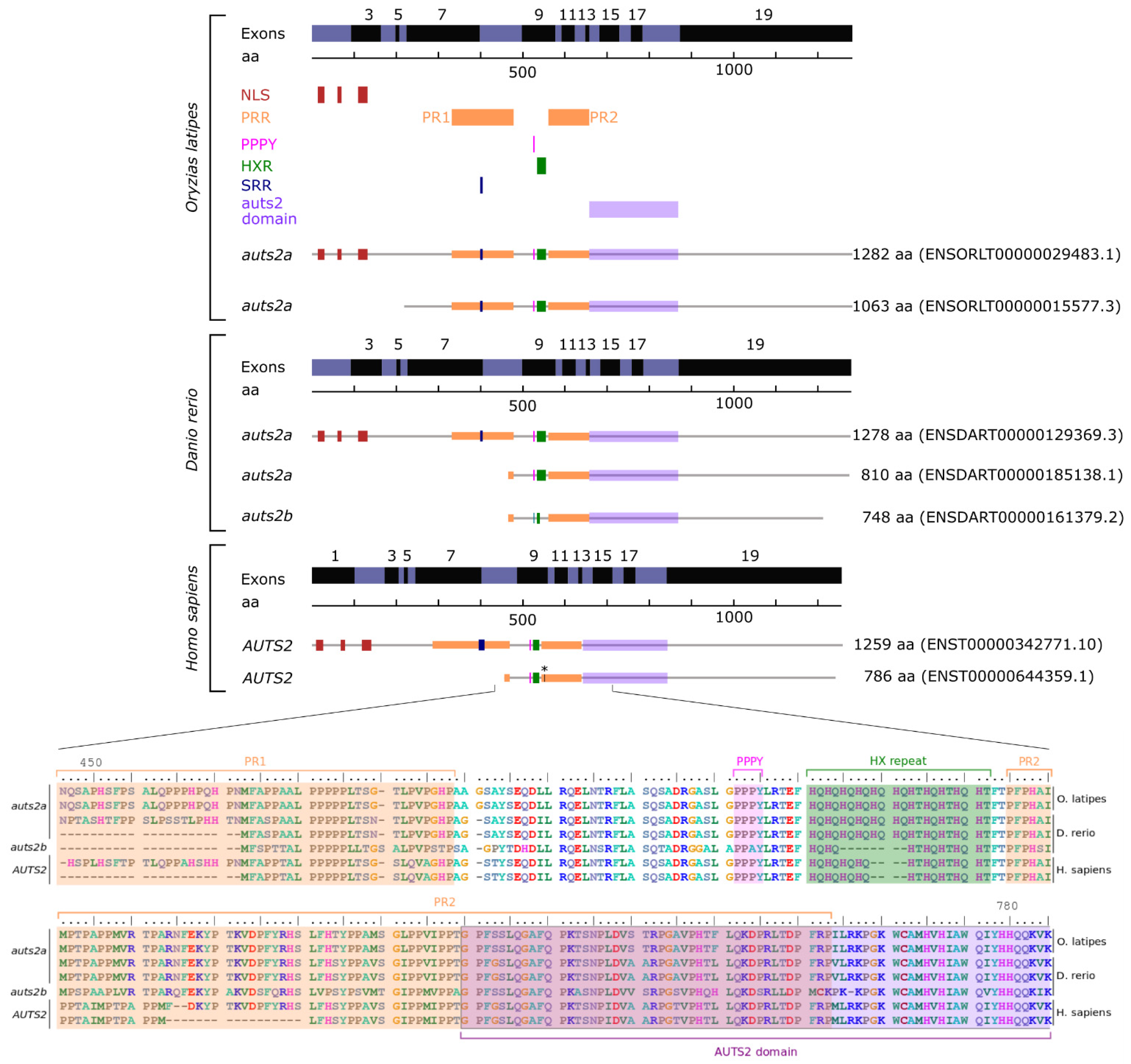 Cells 11 02694 g004 Cells 11 02694 g004