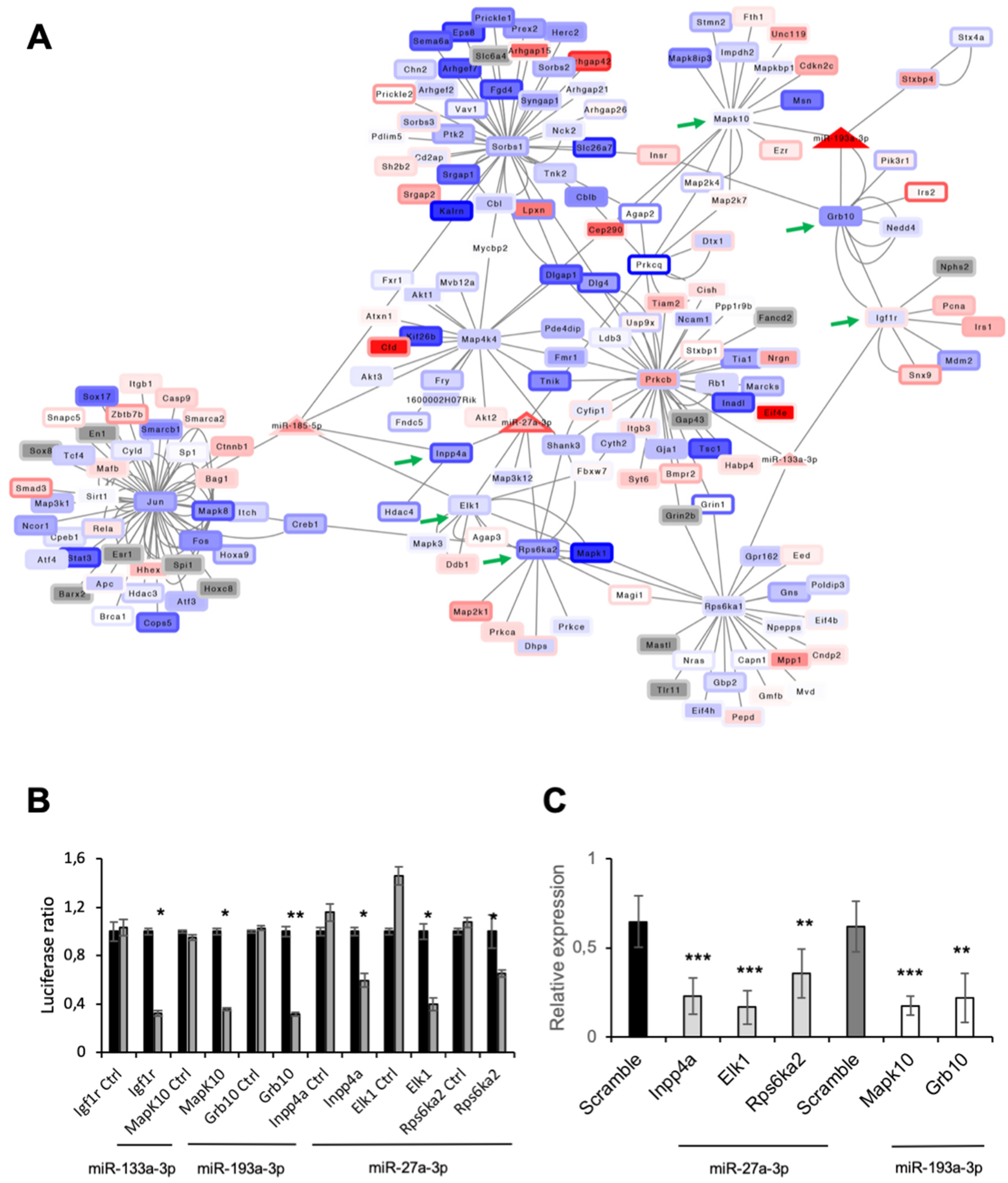Cells 11 02697 g006 Cells 11 02697 g006