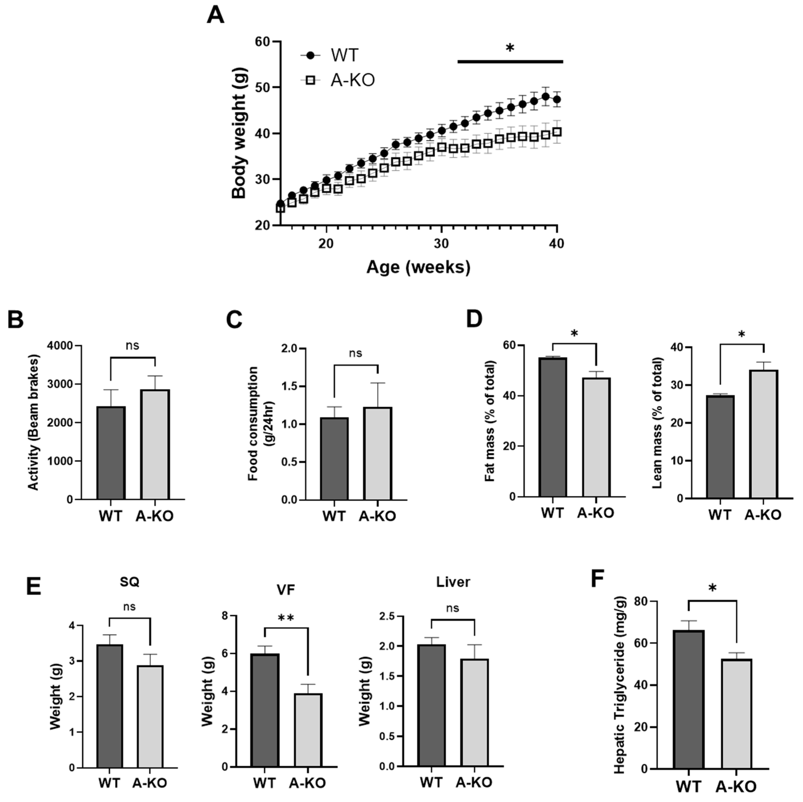 Cells 11 02698 g003 550