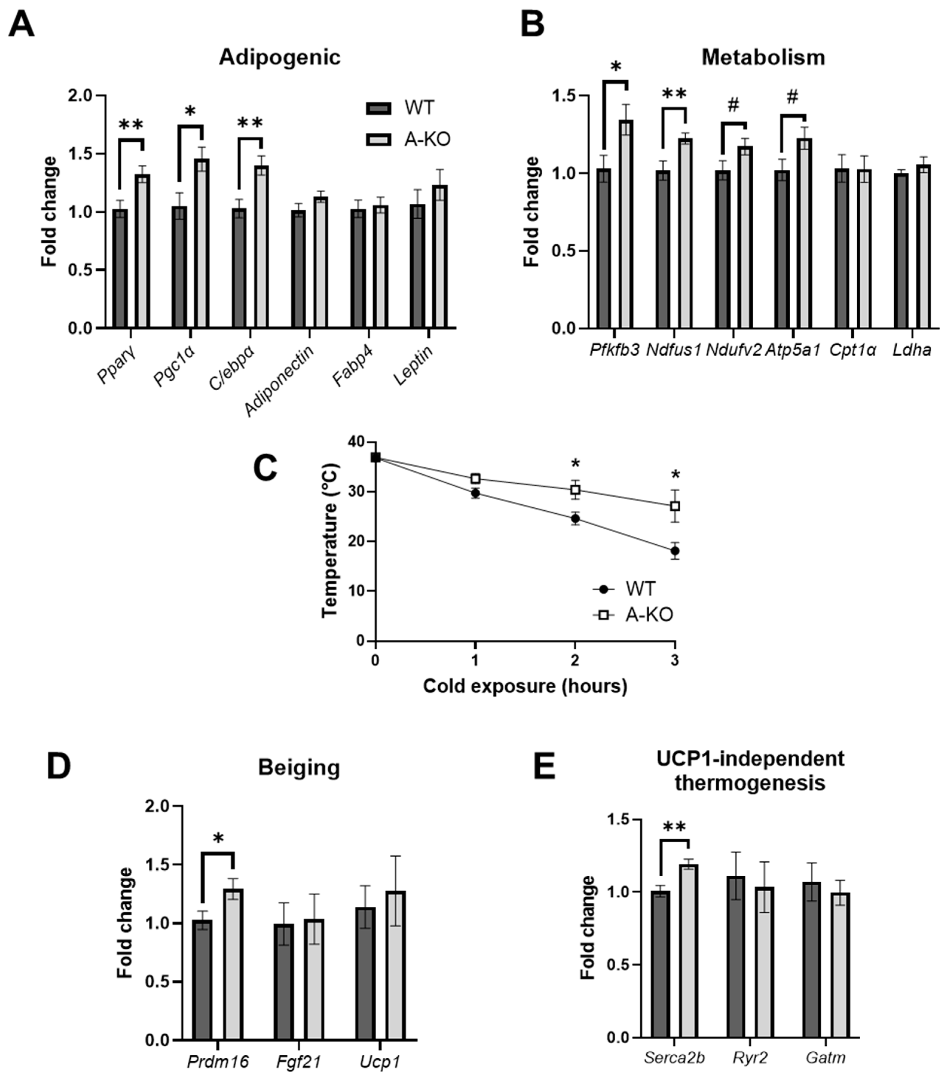Cells 11 02698 g005 550