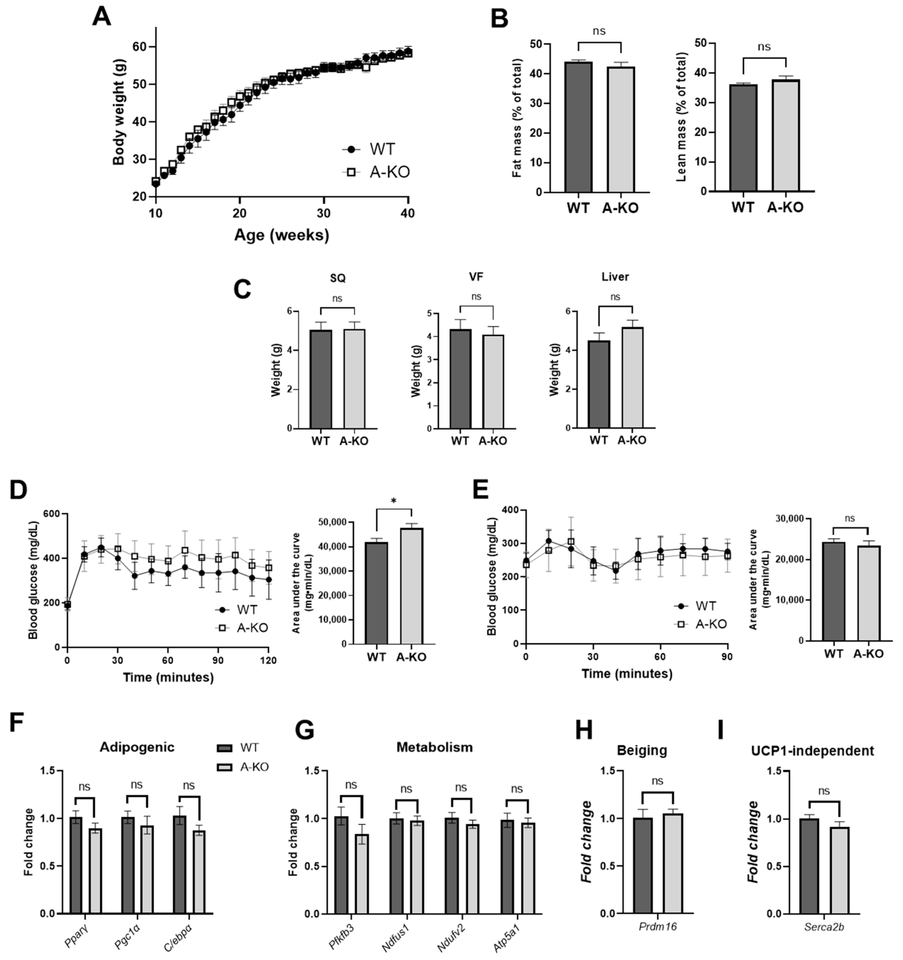 Cells 11 02698 g006 550