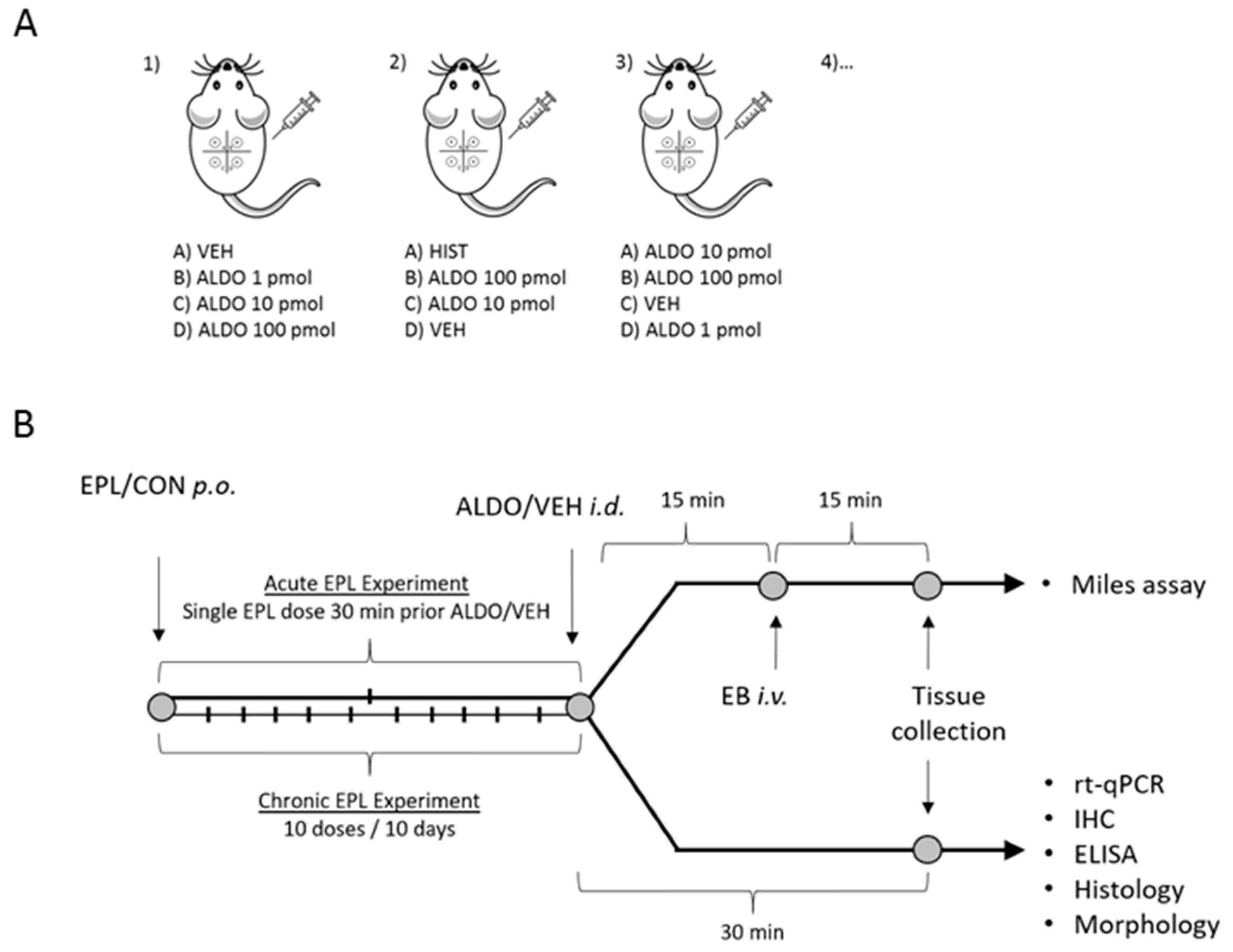 Cells 11 02707 g001 Cells 11 02707 g001