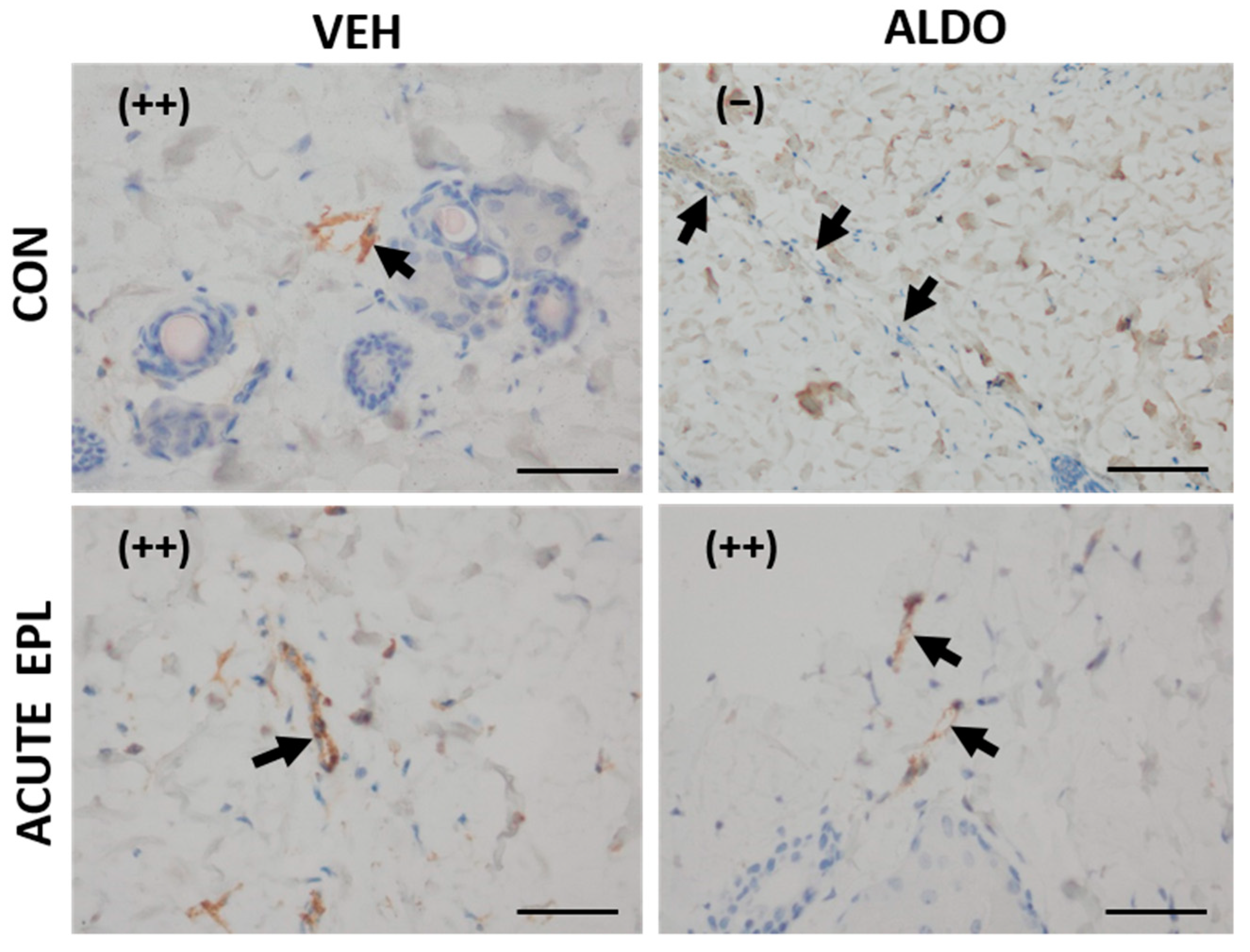 Cells 11 02707 g005 Cells 11 02707 g005