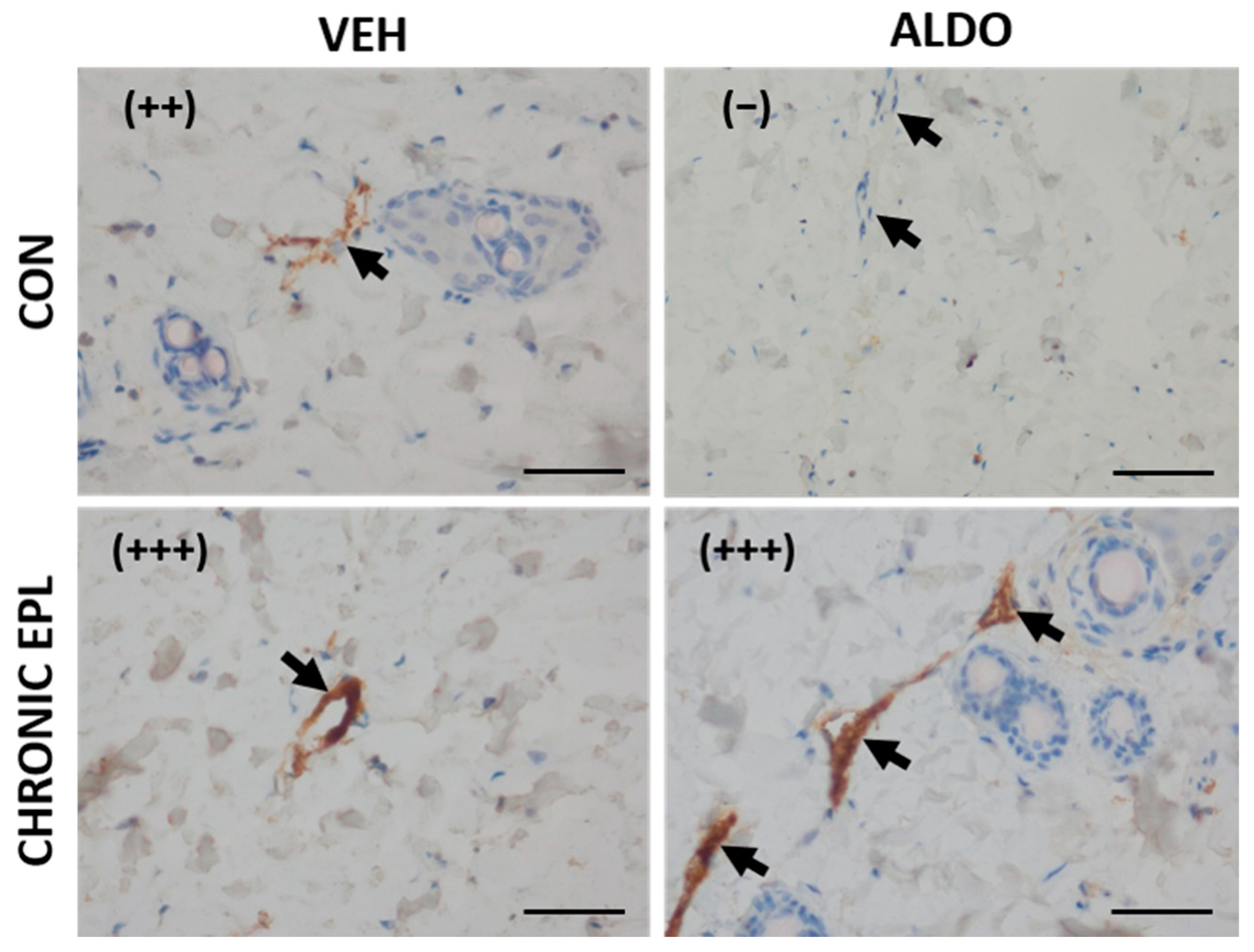 Cells 11 02707 g006 Cells 11 02707 g006