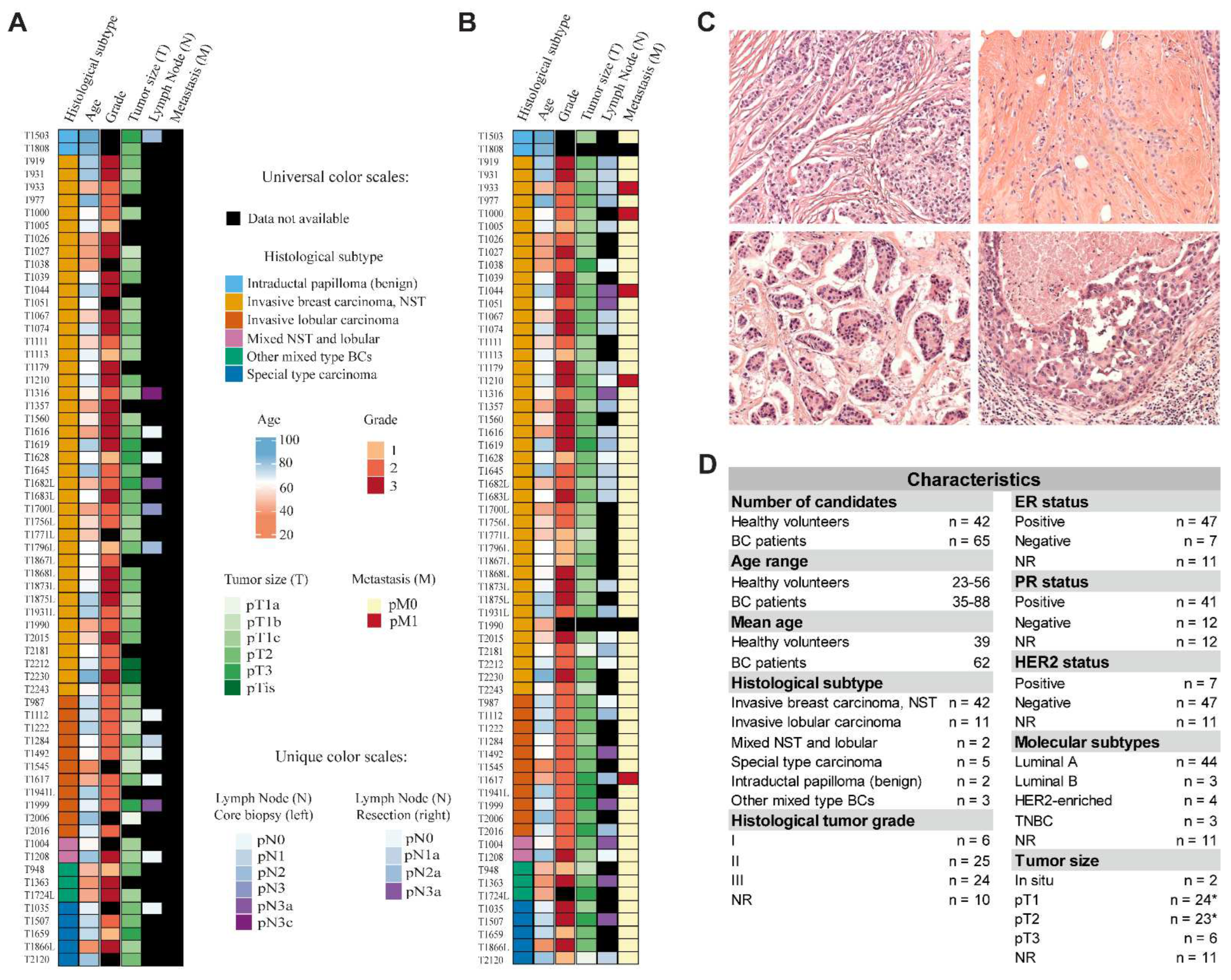 Cells 11 02721 g001 550