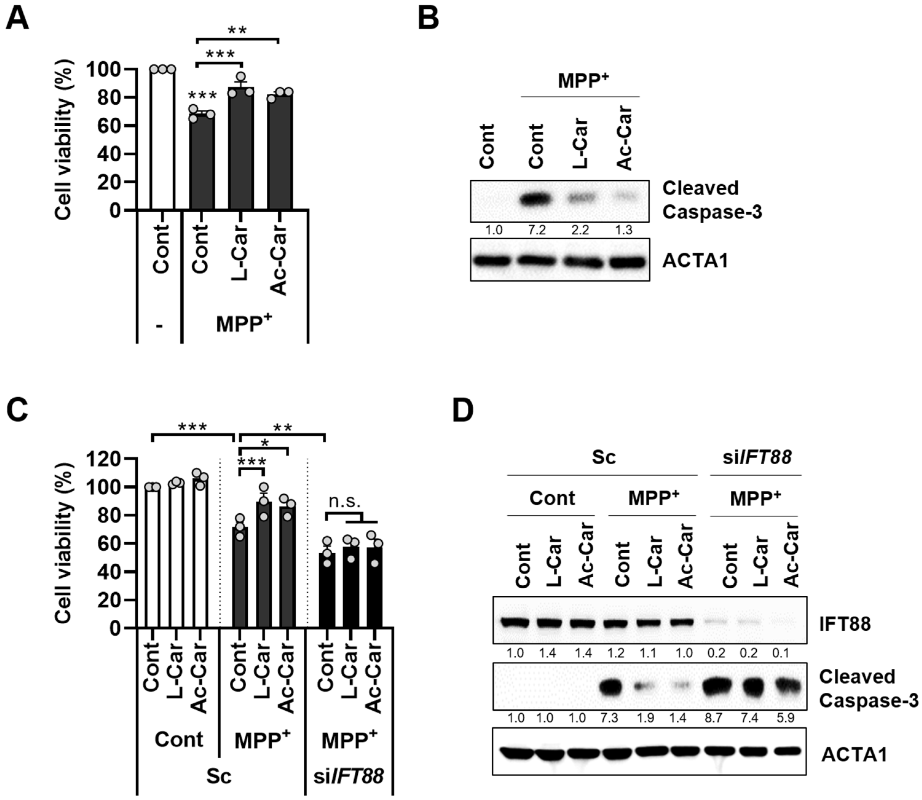 Cells 11 02722 g003 550