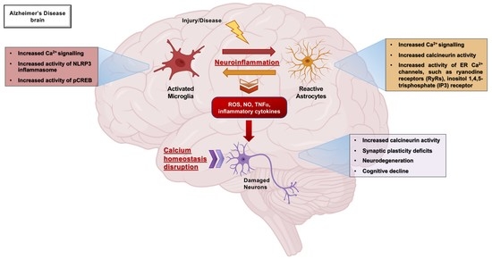 neurontin alzheimers disease