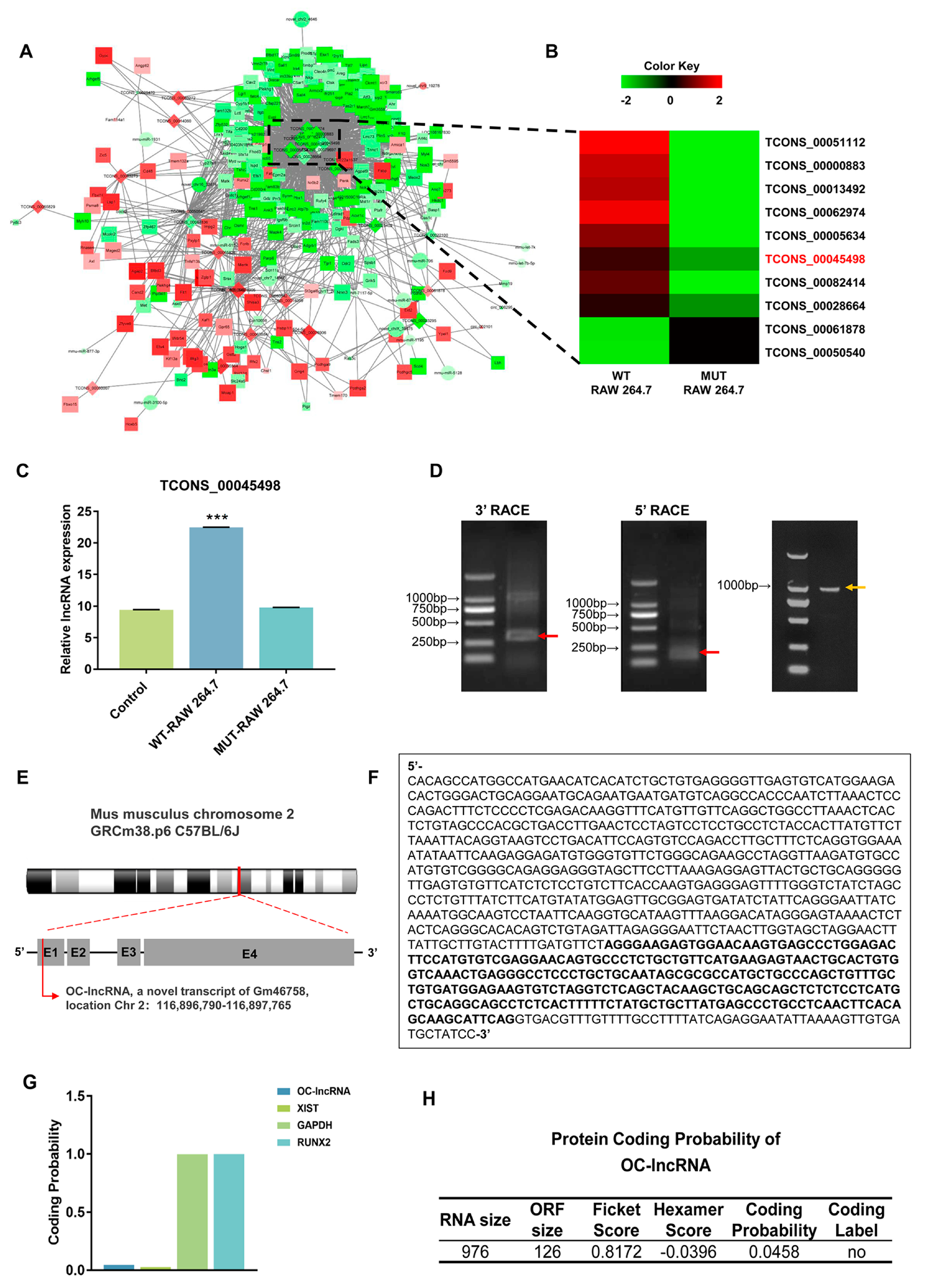 Cells 11 02729 g002 550