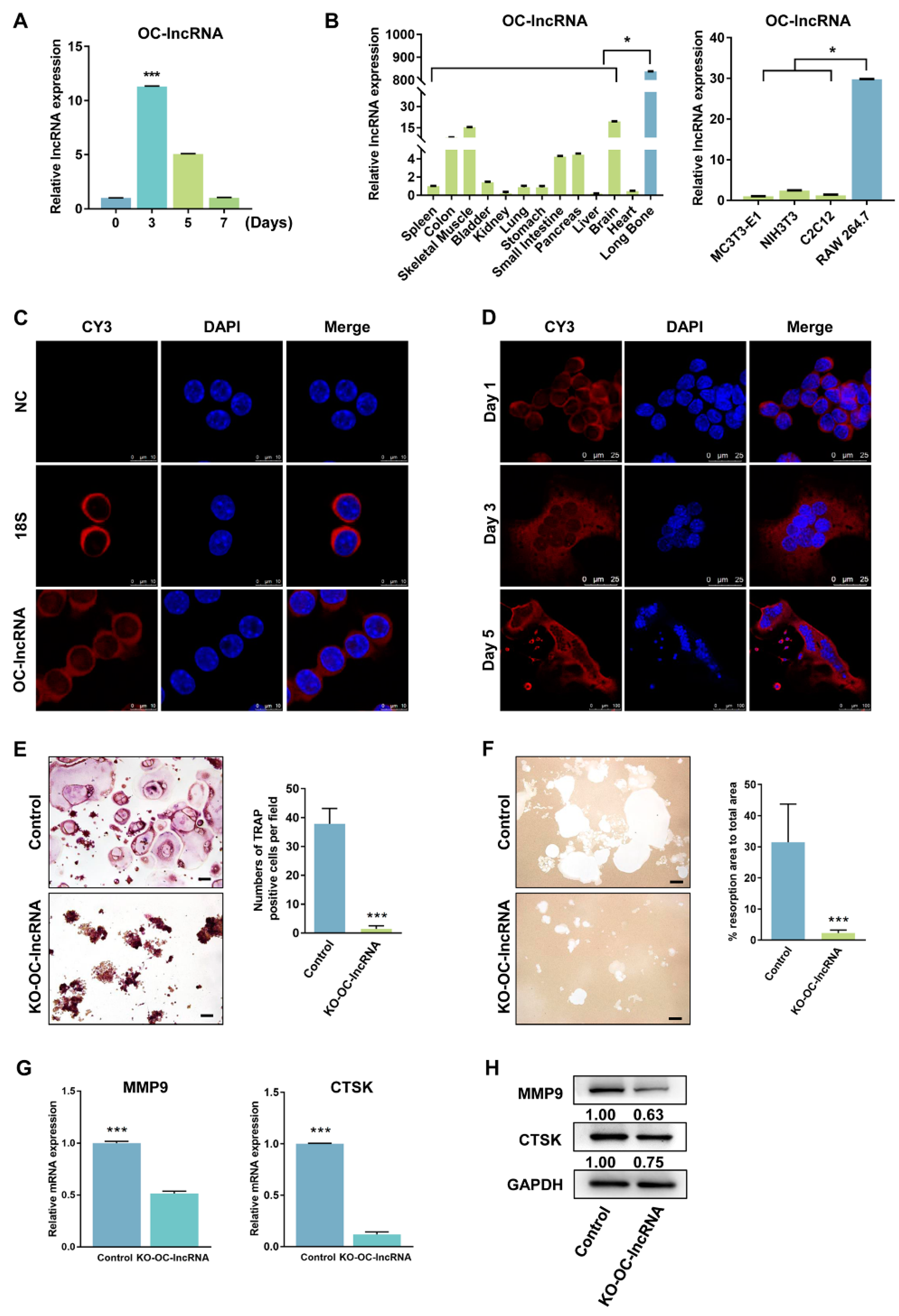 Cells 11 02729 g003 550