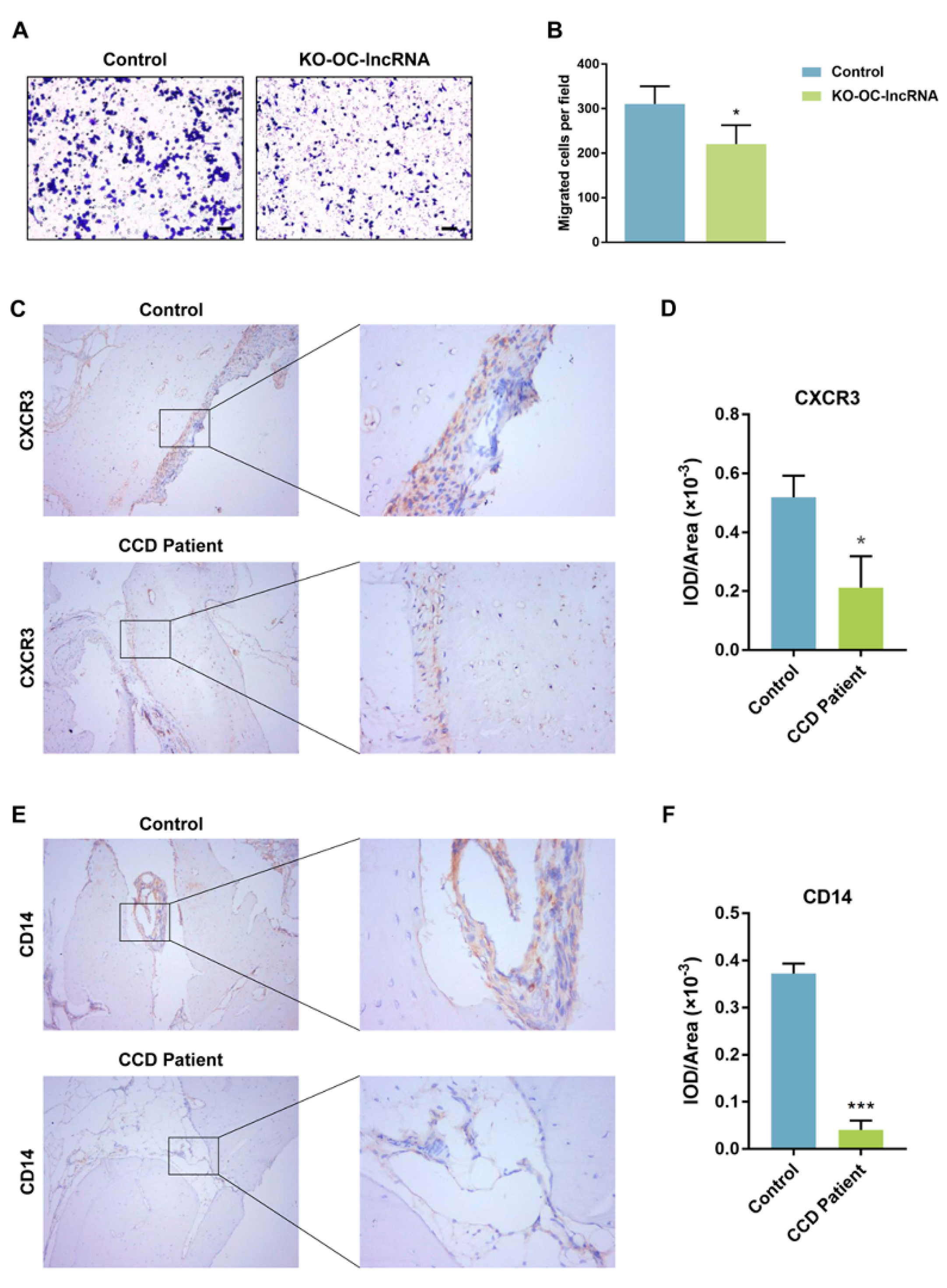 Cells 11 02729 g006 550