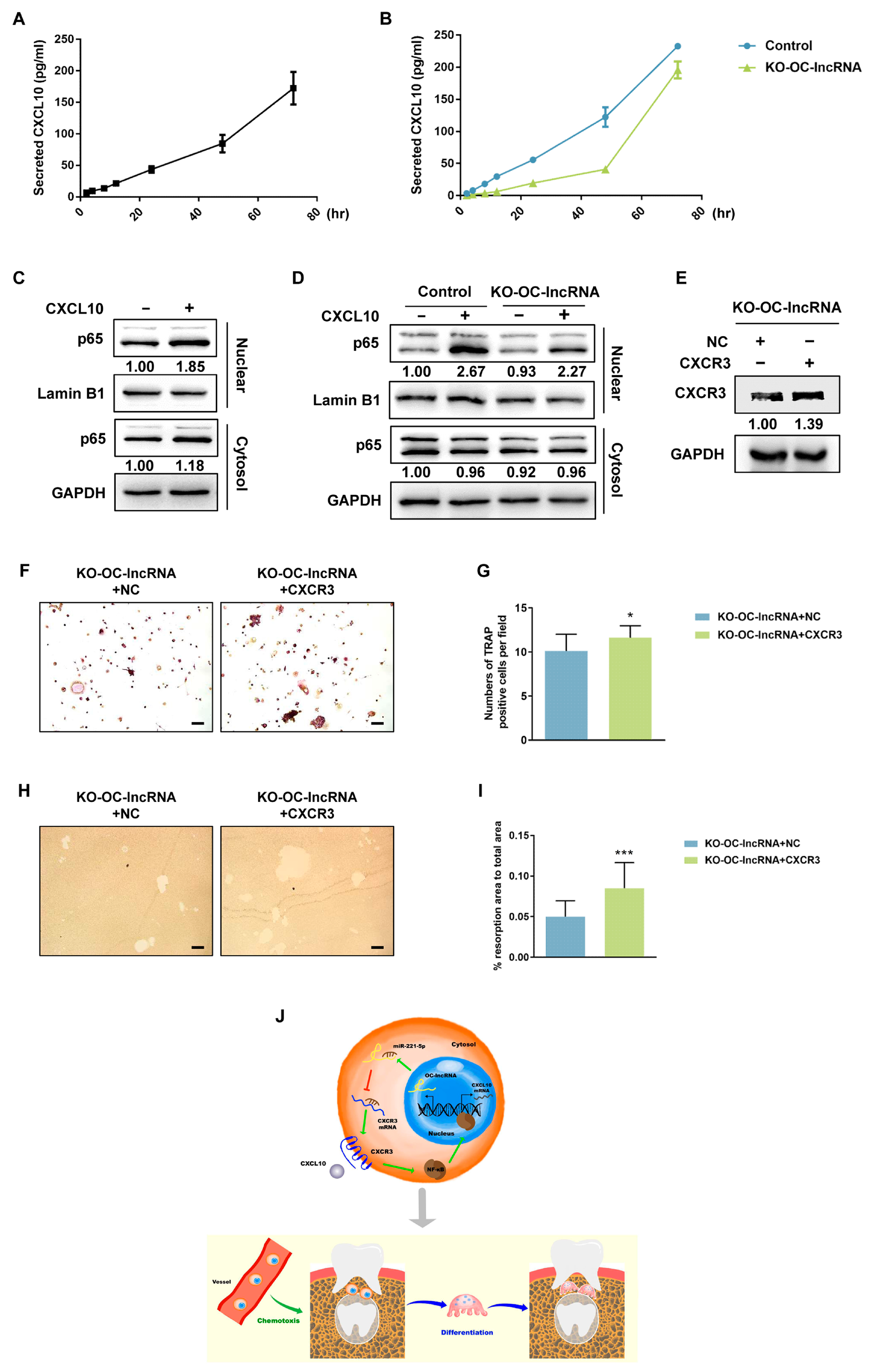 Cells 11 02729 g007 550
