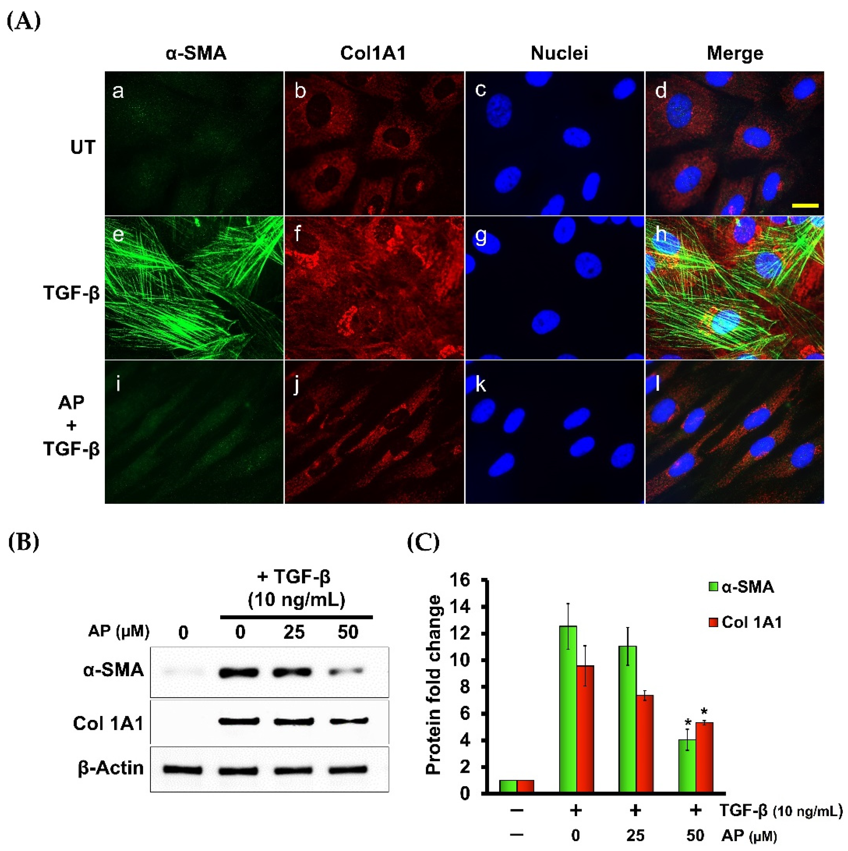 Cells 11 02731 g009 550